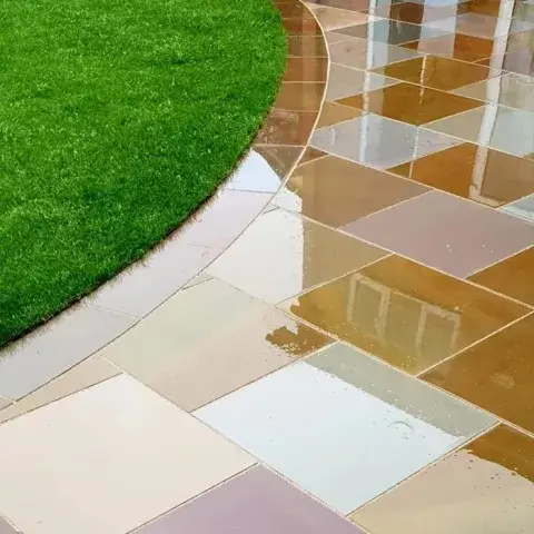 Our Gallery