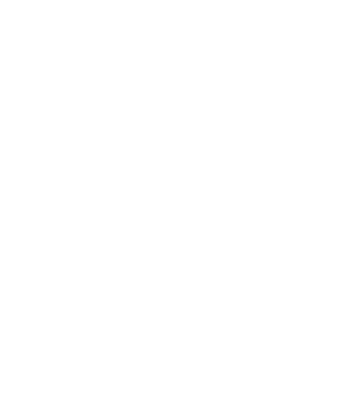 Stoke City