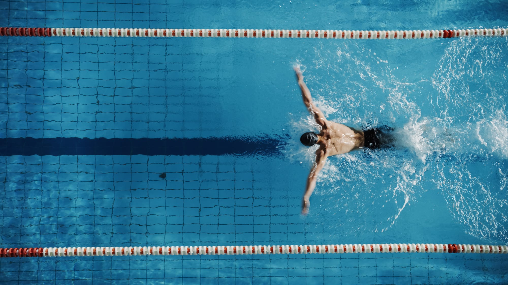 Swimmer front crawl in outdoor pool, lane ropes, overhead