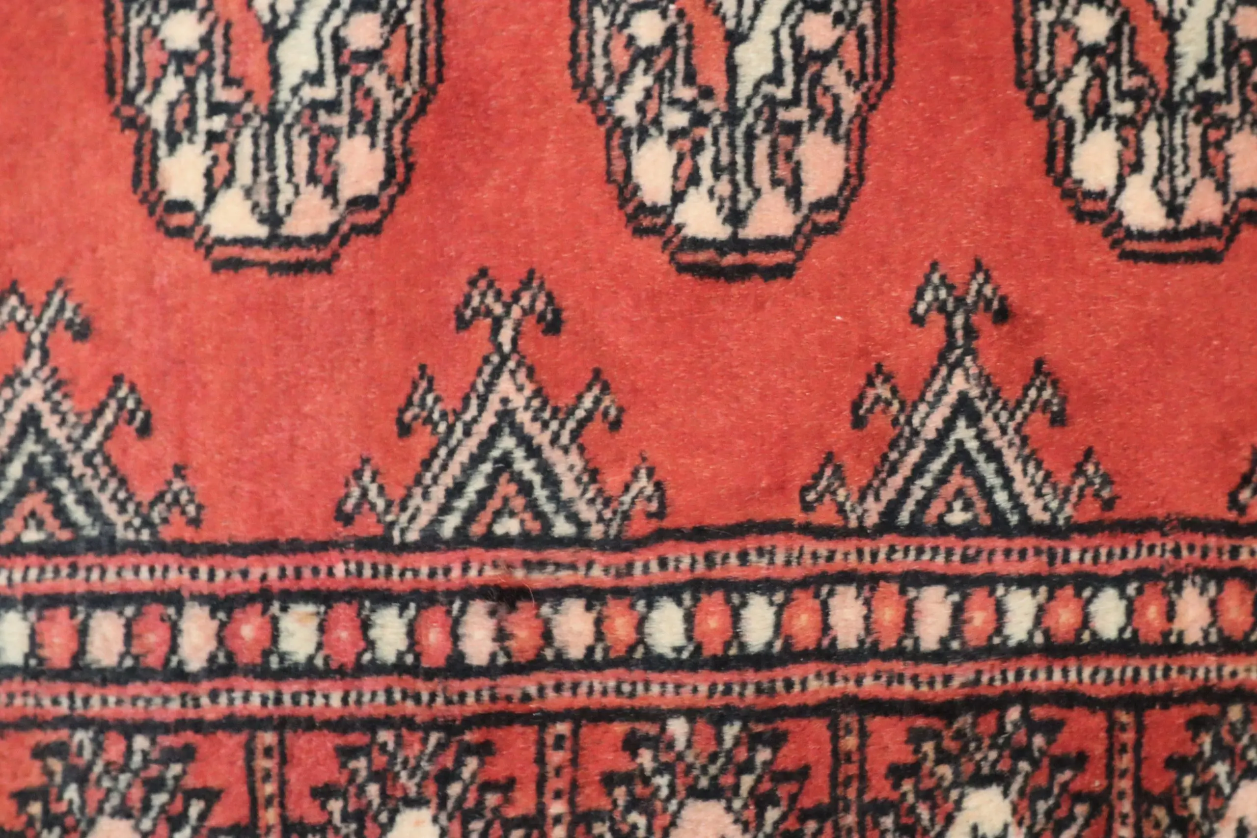 Pakistan Bokhara Rug BOK013C55 1.52 X  .91