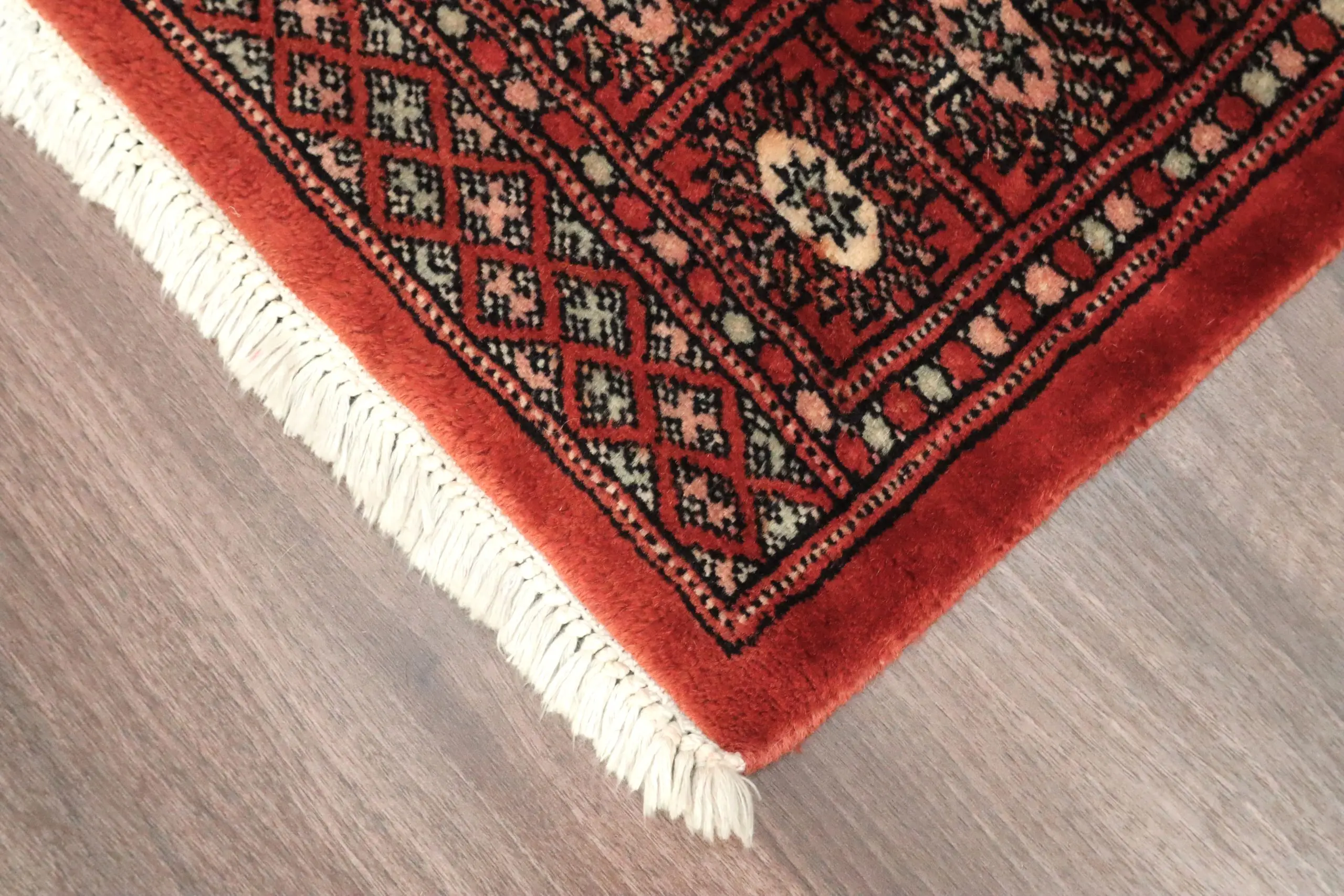Pakistan Bokhara Rug BOK013C55 1.52 X  .91