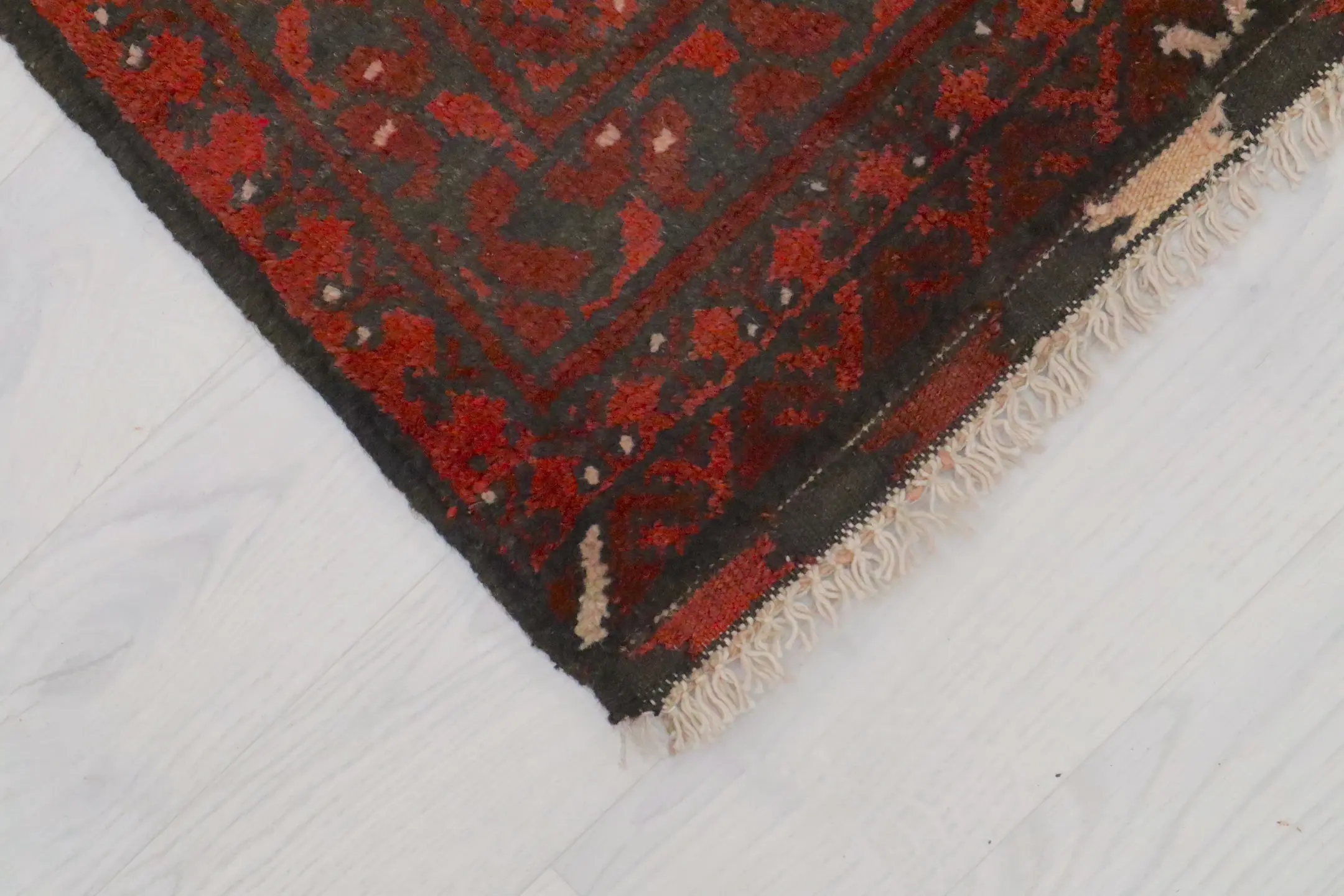 Afghan Rug ARE023000 286 X 204