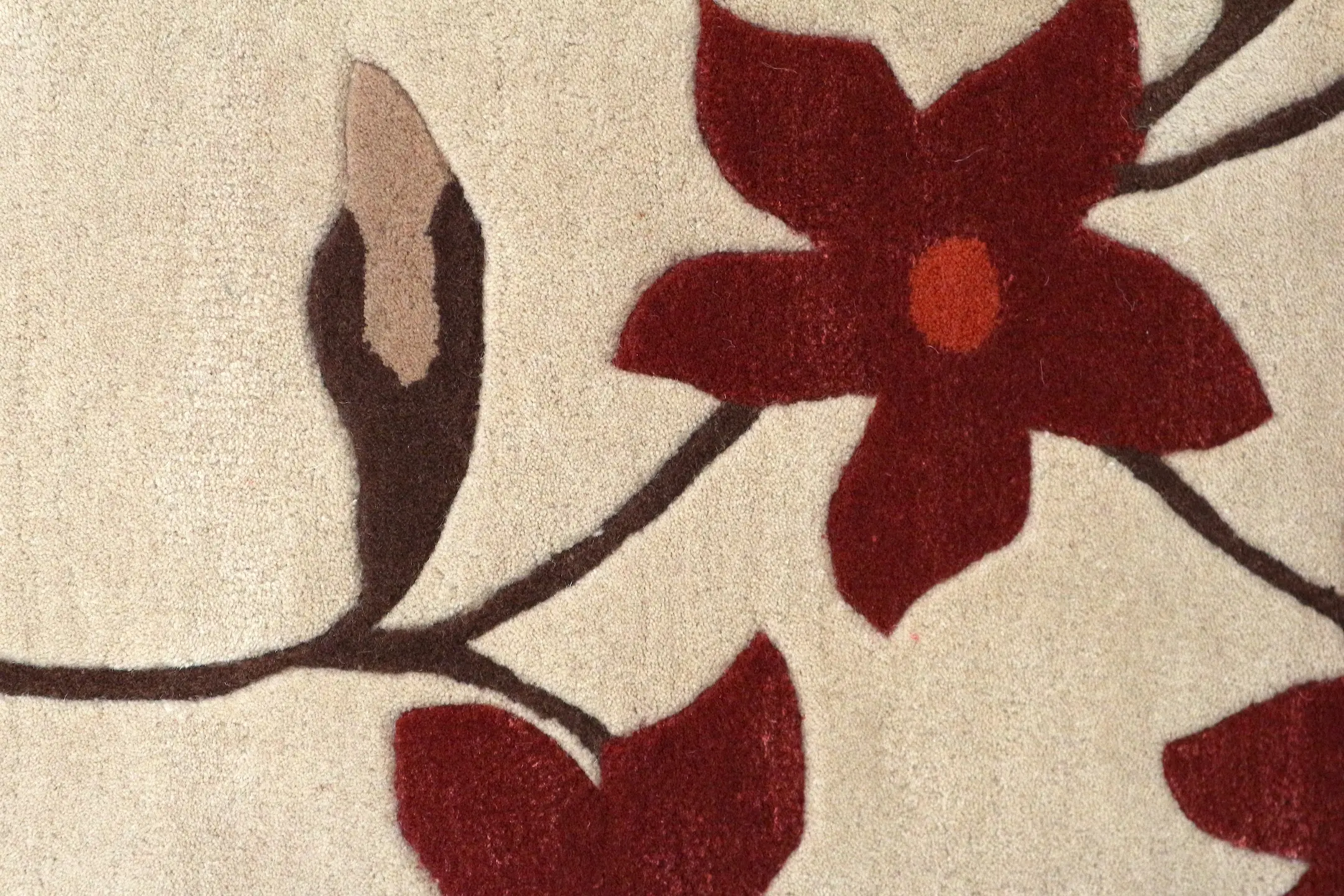 Modern Botanical Rug - ECF009
