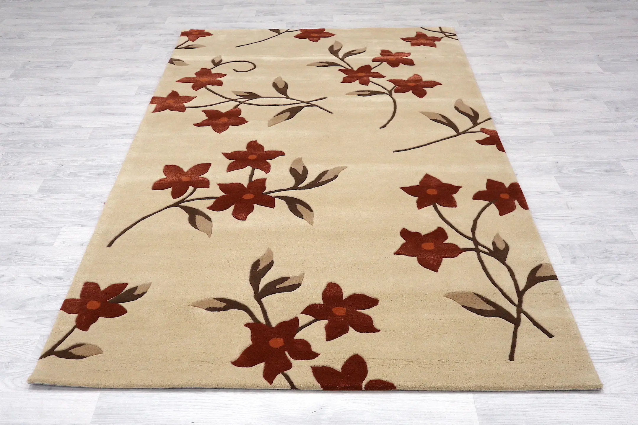 Modern Botanical Rug - ECF009