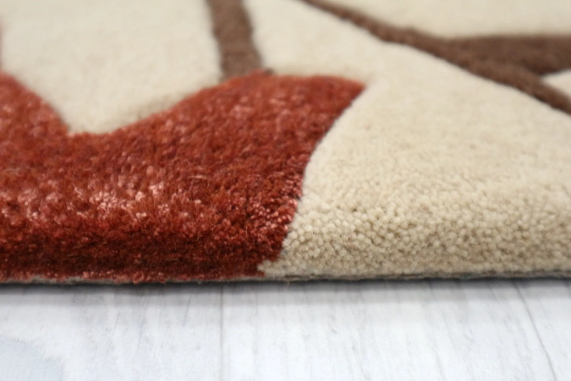 Modern Botanical Rug - ECF009