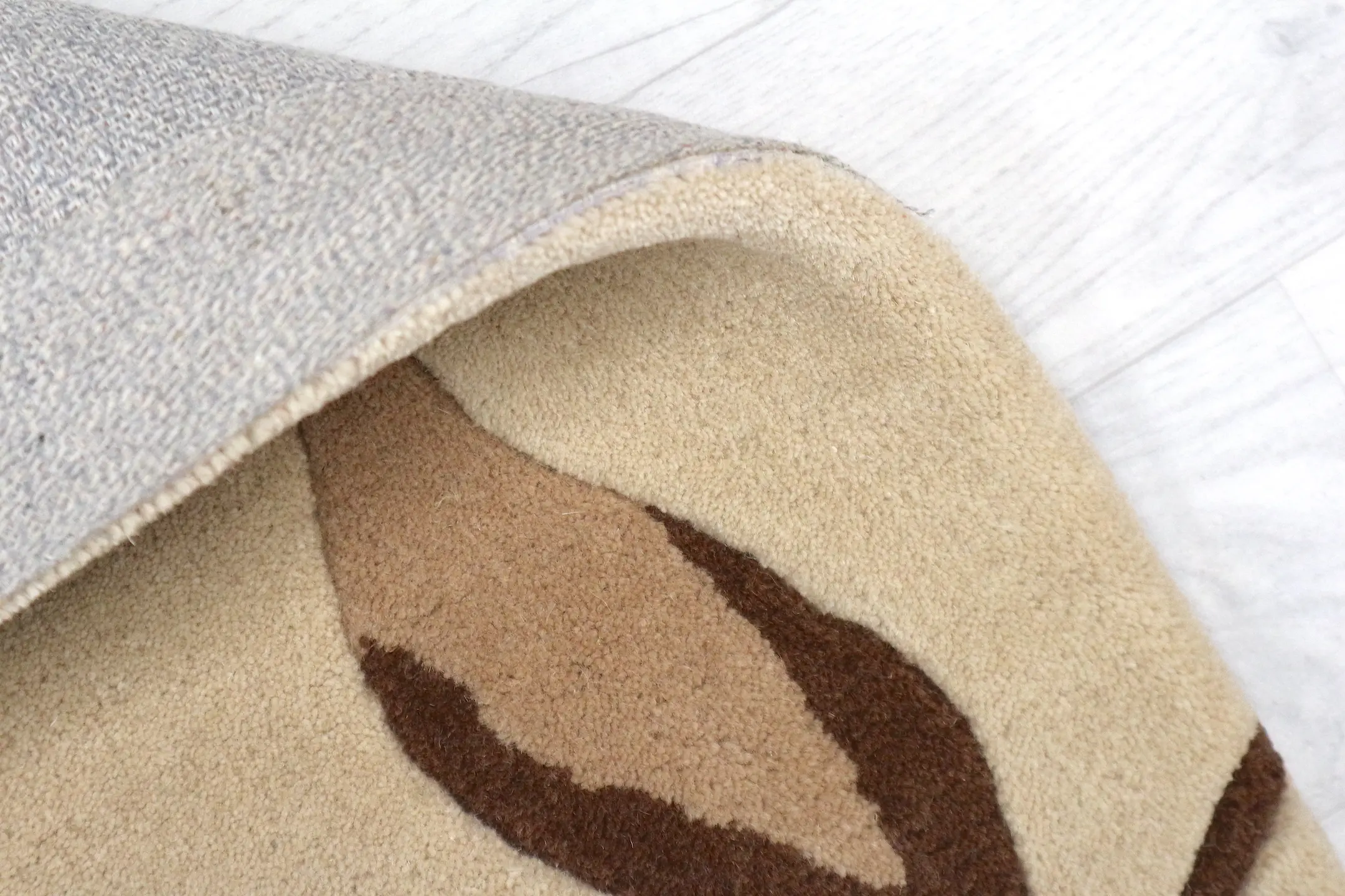 Modern Botanical Rug - ECF009