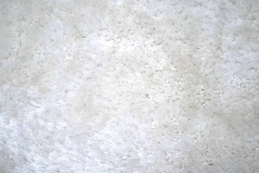 Shaggy Rug CLS018710 170 x 120