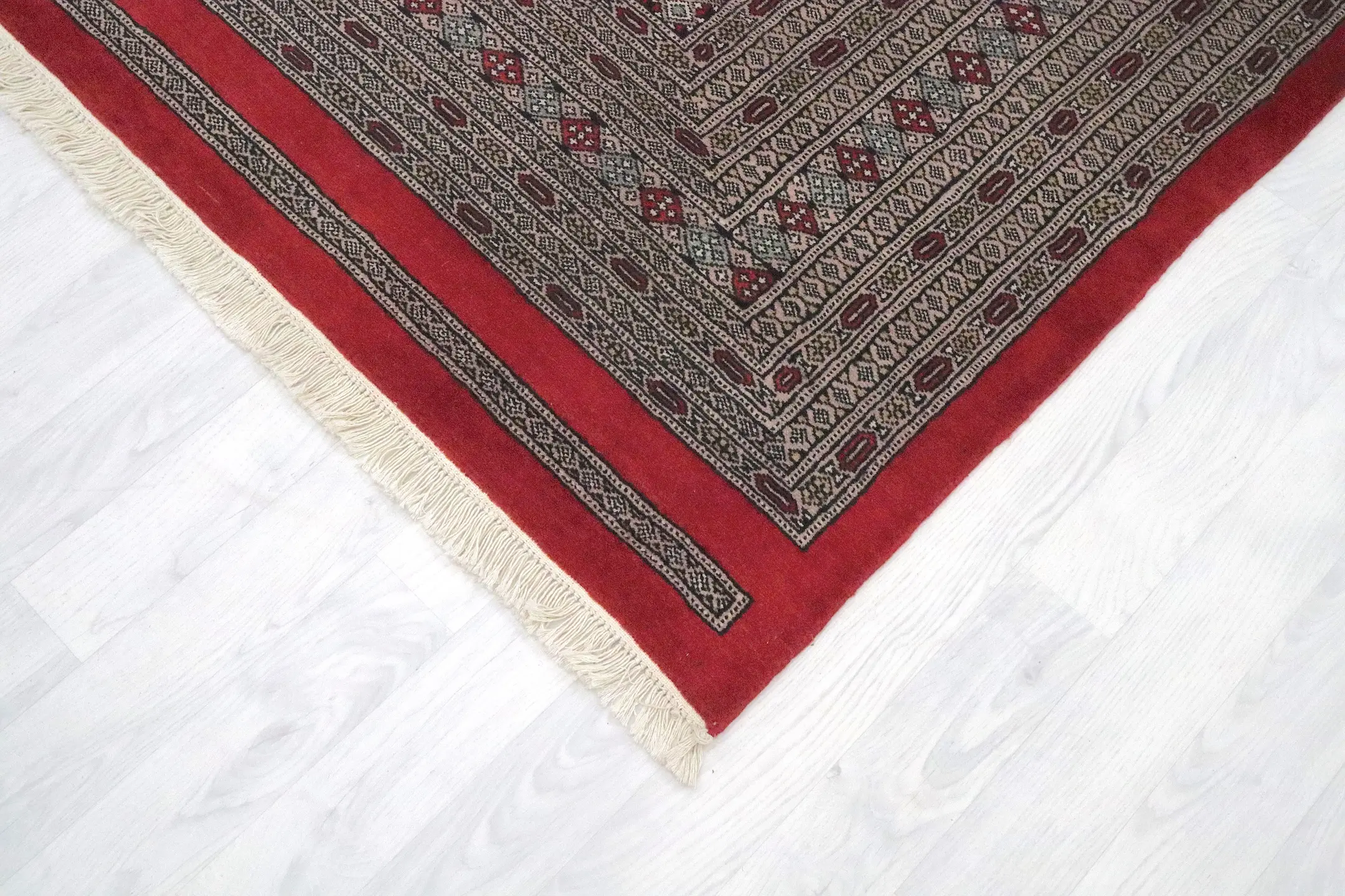 Pakistan Jaldar Rug PJA028052 361x 279
