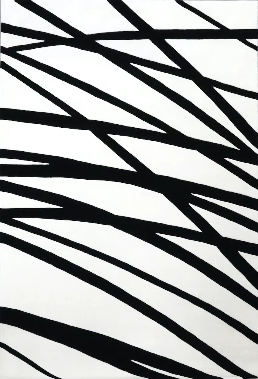 Modern Rug - Black & White - Indian Rug with Contemporary Design ECA036