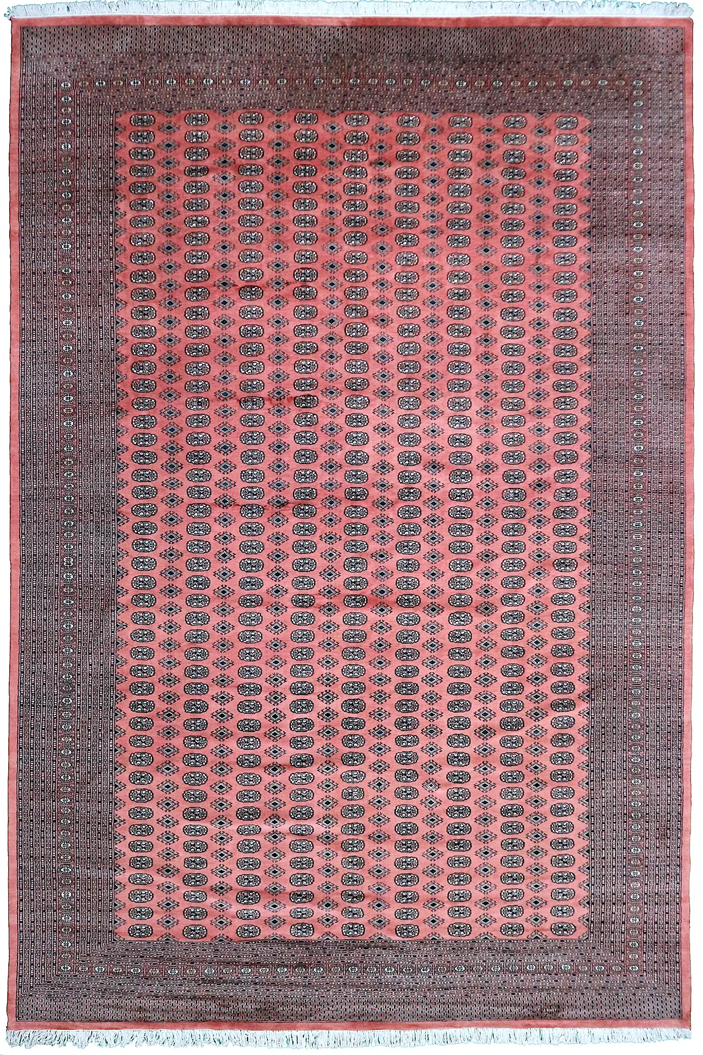 Fine Bokhara Rug BOK035048 547x374