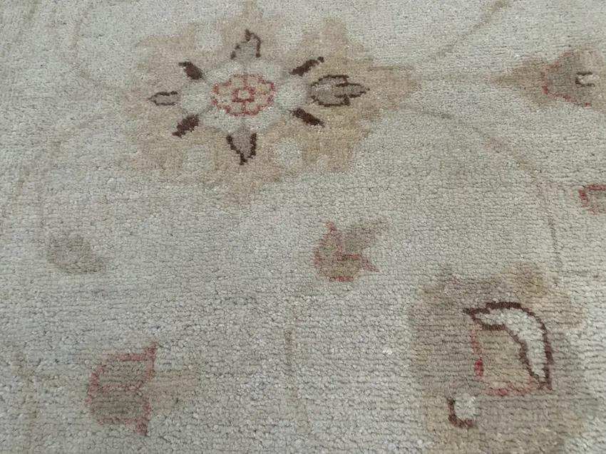 Indo Persian Rug IVE020054 244 X 152 G