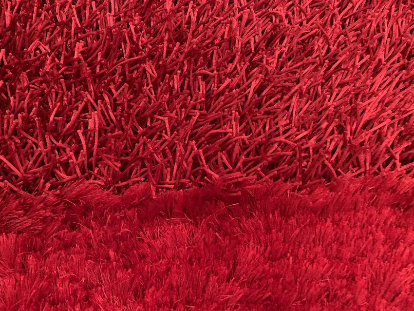 Shaggy Rug ILP025033 305 x 244