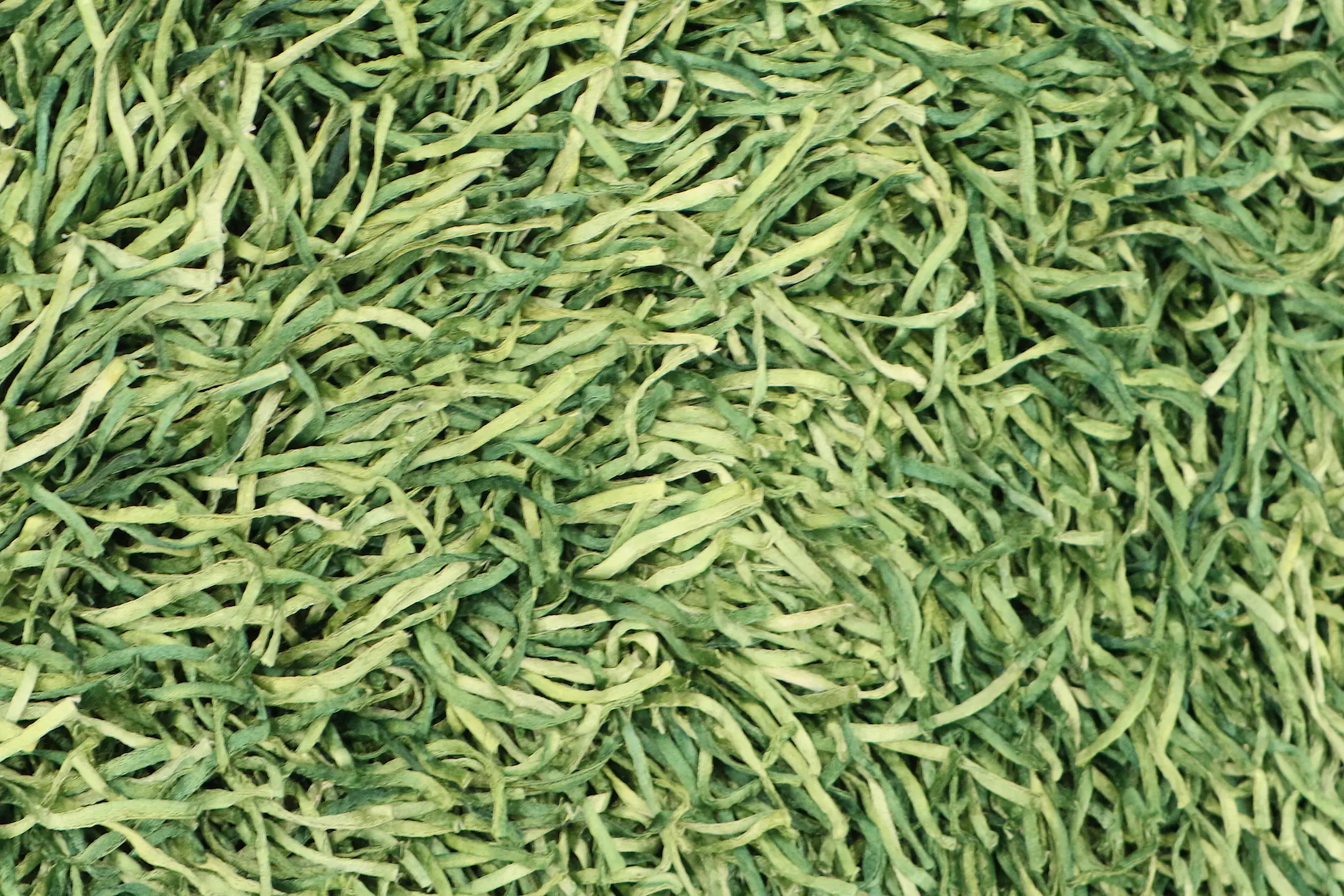 Tagliatelle Shaggy Rug ILST42