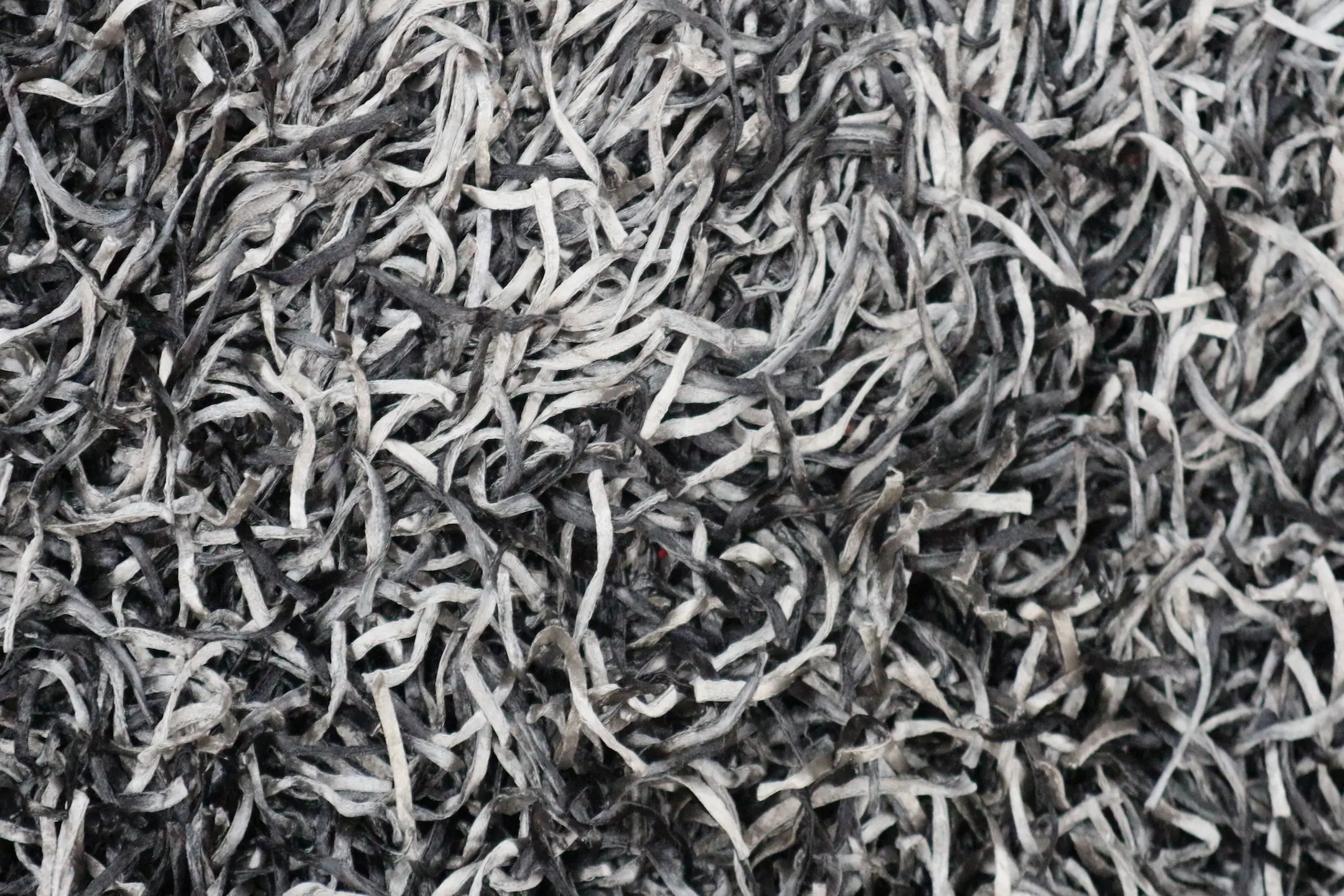 Tagliatelle Shaggy Rug ILST53