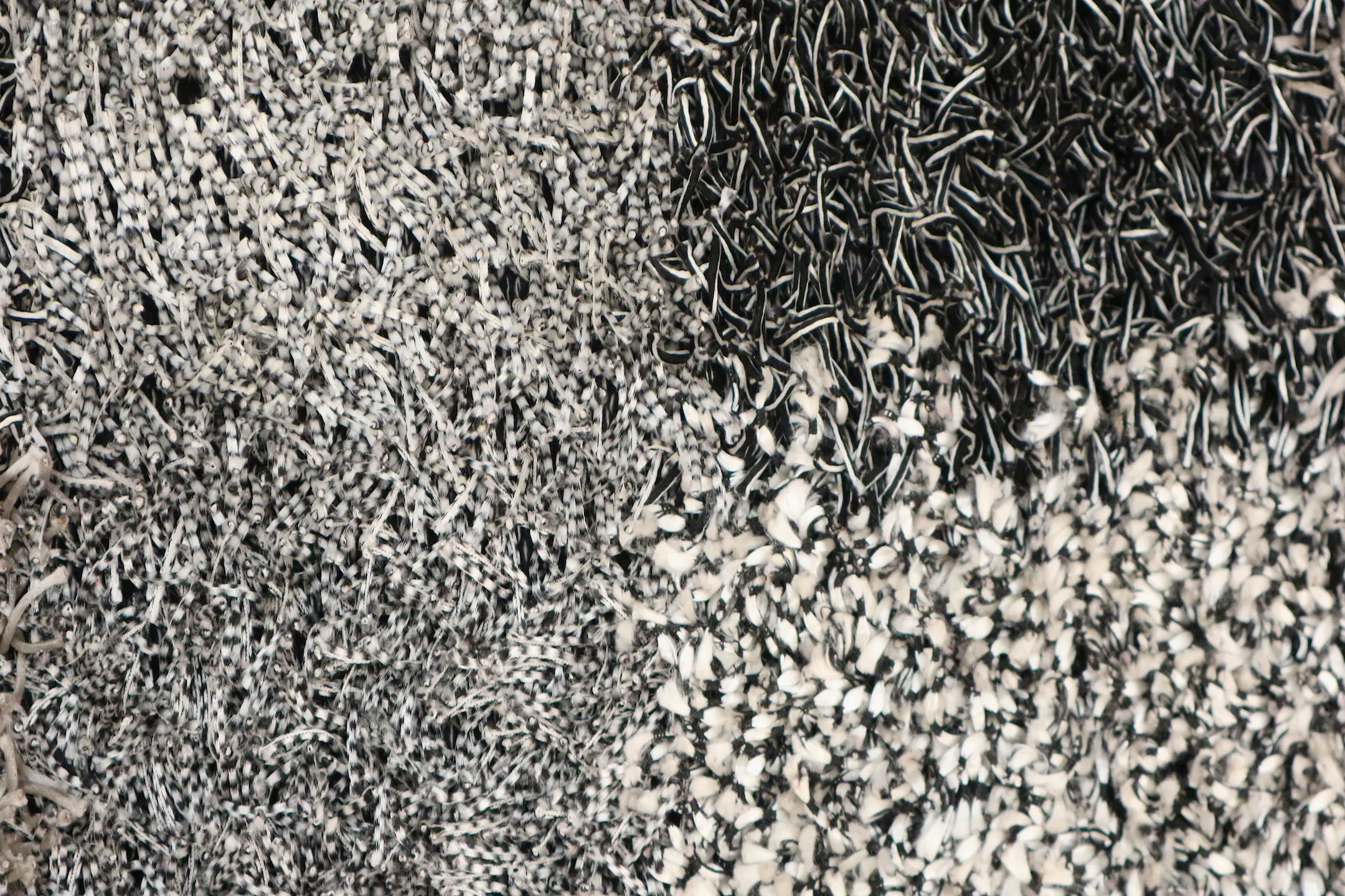Mirage Shaggy Rug ILSM47