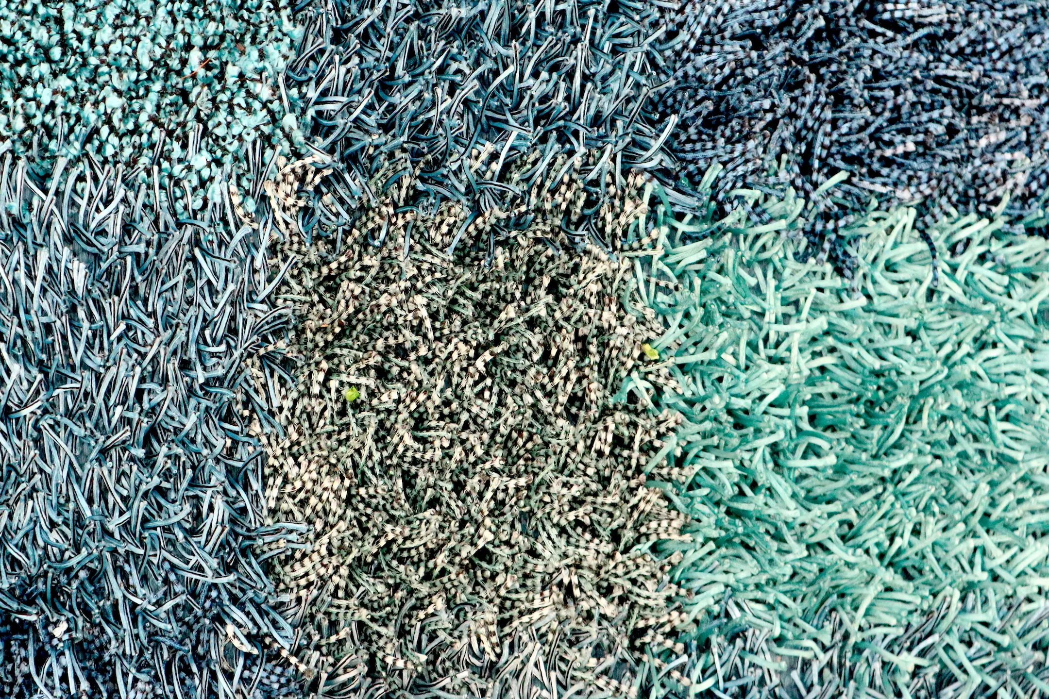 Mirage Shaggy Rug ILSM42
