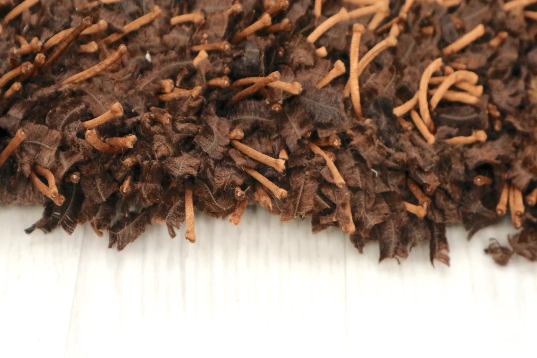 Funky Shaggy Rug ILSF60
