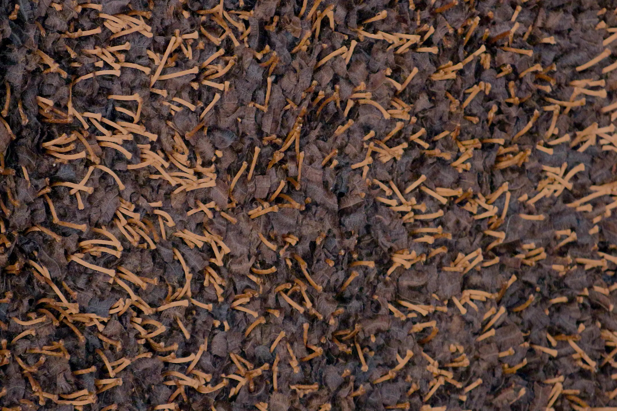 Funky Shaggy Rug ILSF60