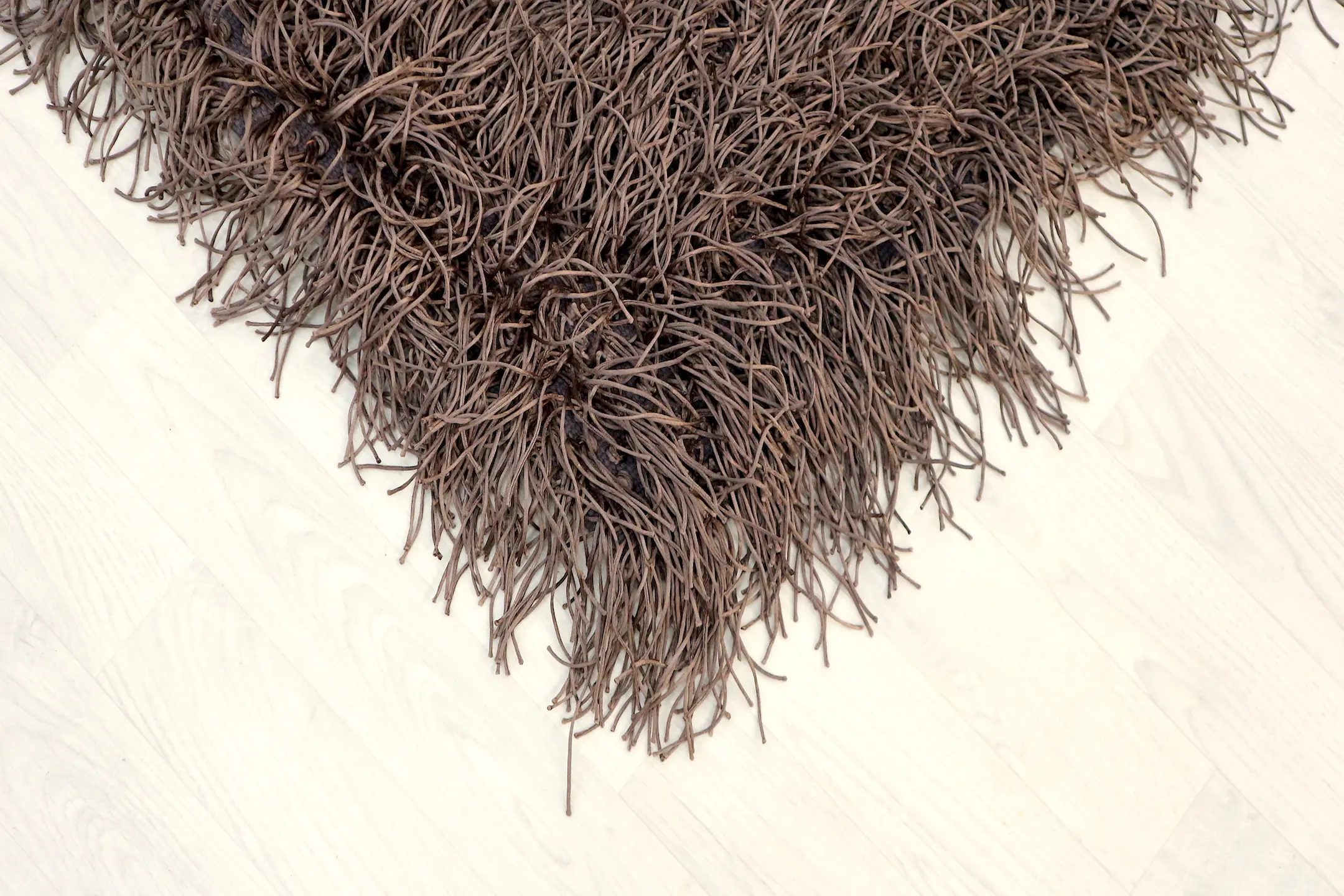 Spaghetti Shaggy Rug ILSS54