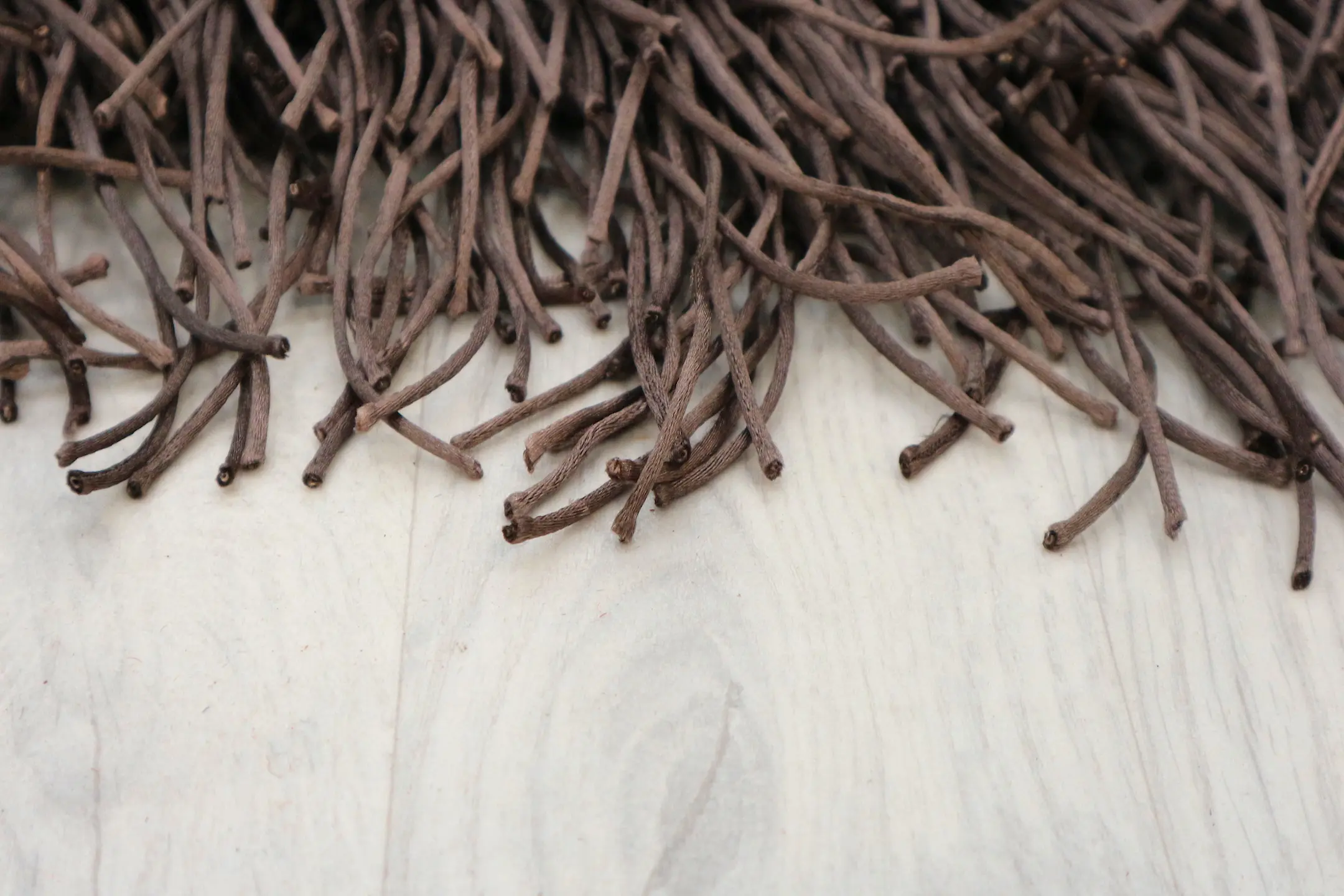 Spaghetti Shaggy Rug ILSS54