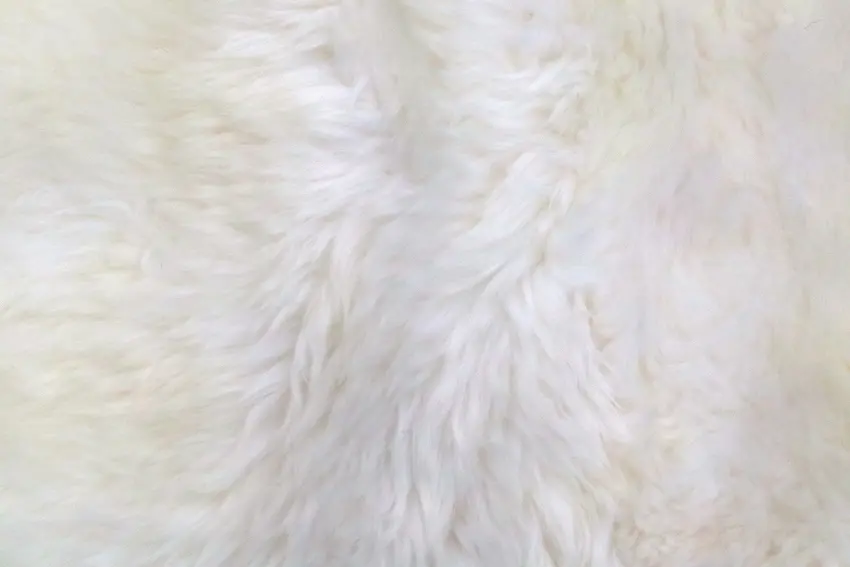 Natural Sheepskin - JSK001- Cream - 100% Australian Wool