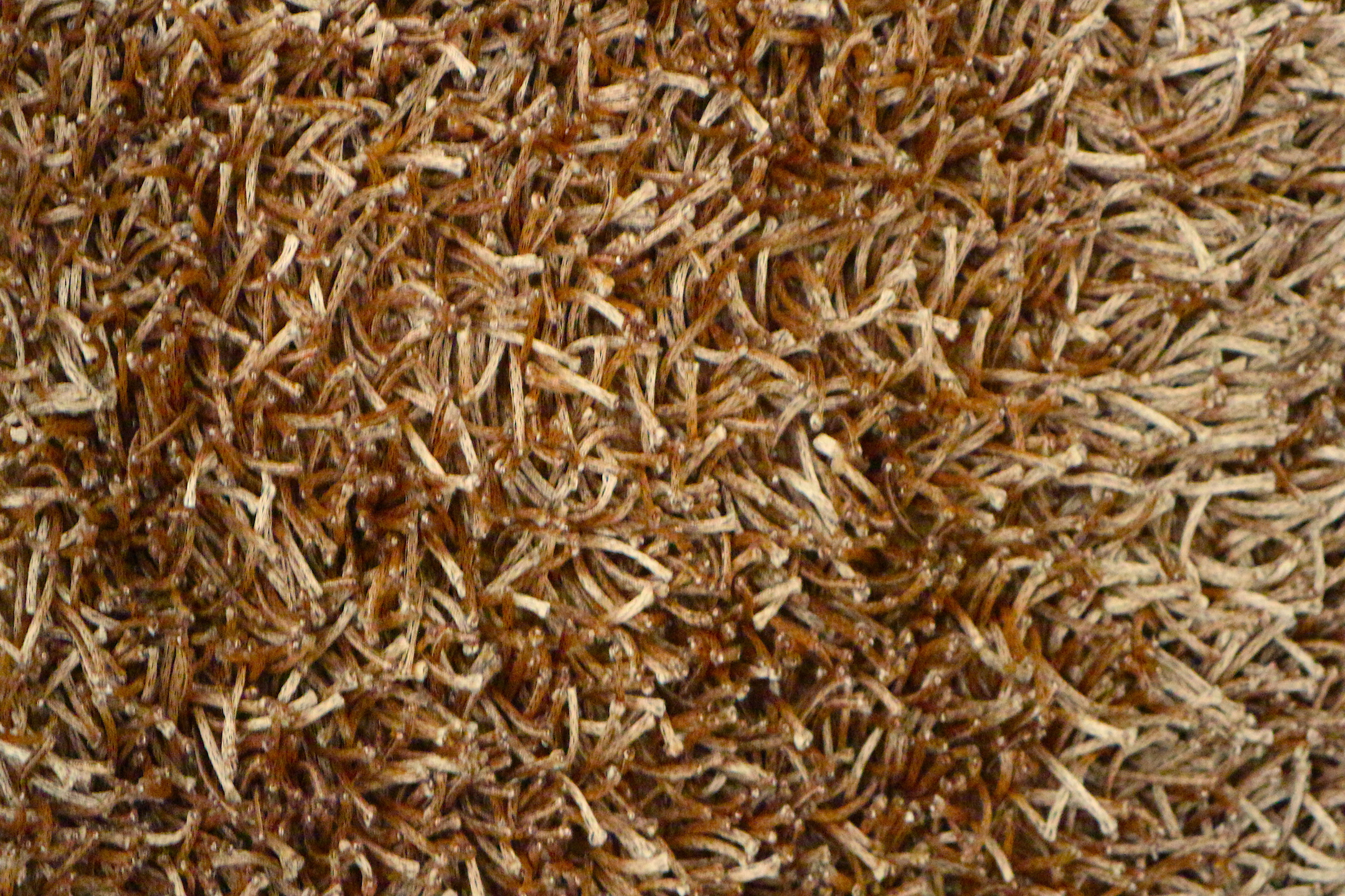 Fusion Shaggy Rug ILSD60