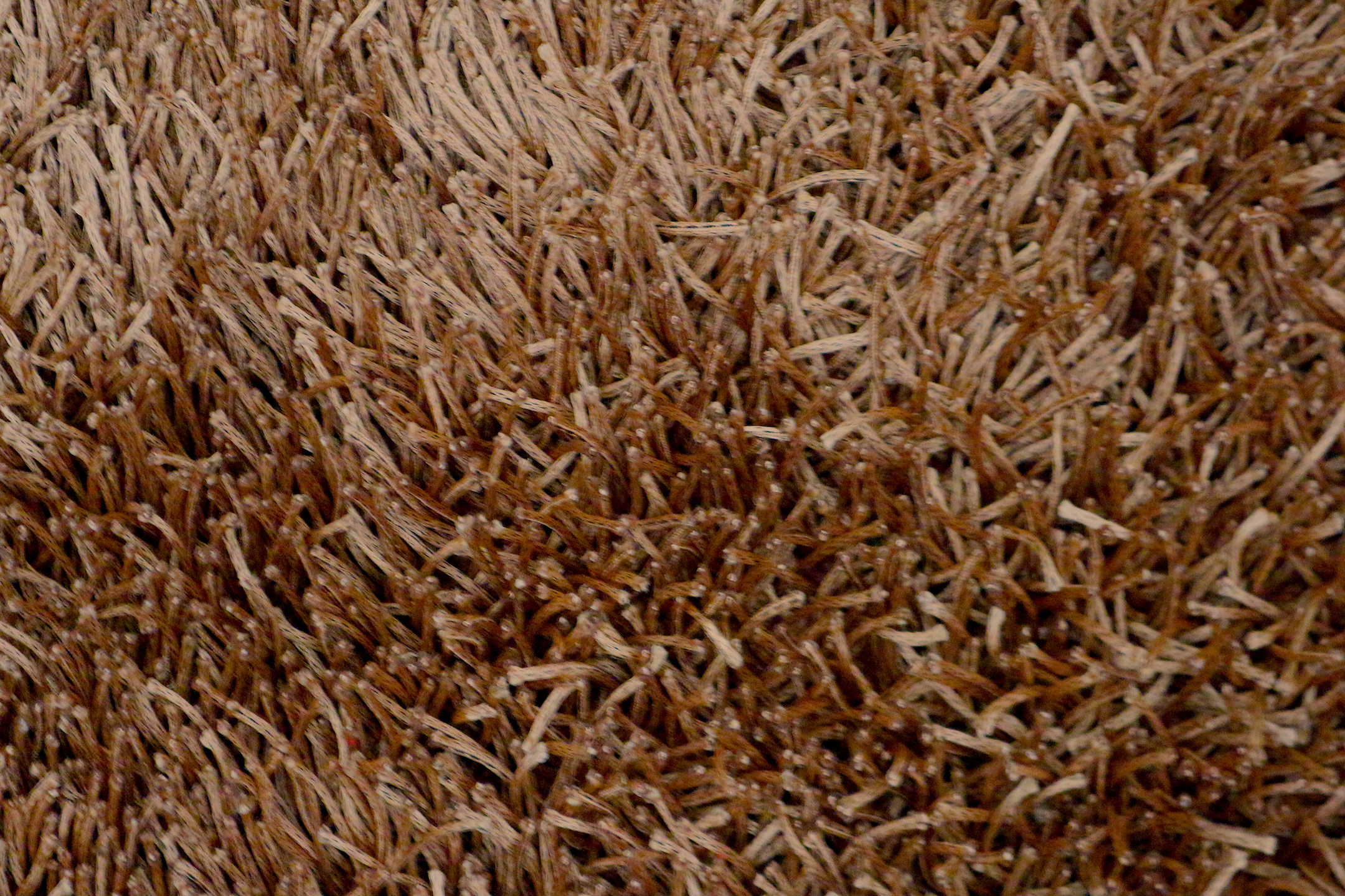 Fusion Shaggy Rug ILSD60