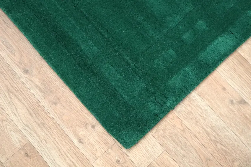 Lippa Plain Carved Rug - Green - Plain 100% wool rug with carved design HHM011