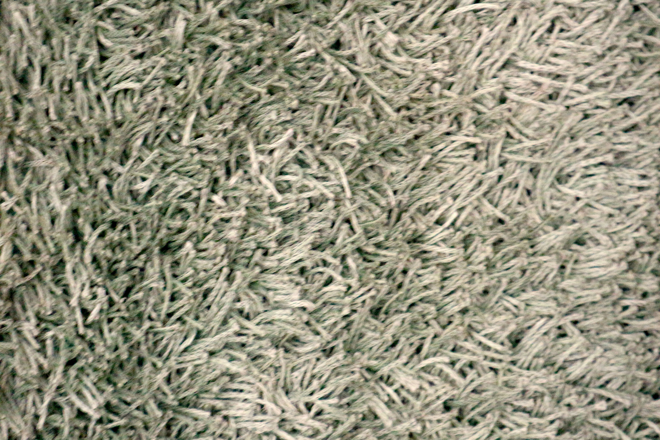 Fusion Shaggy Rug ILSD42