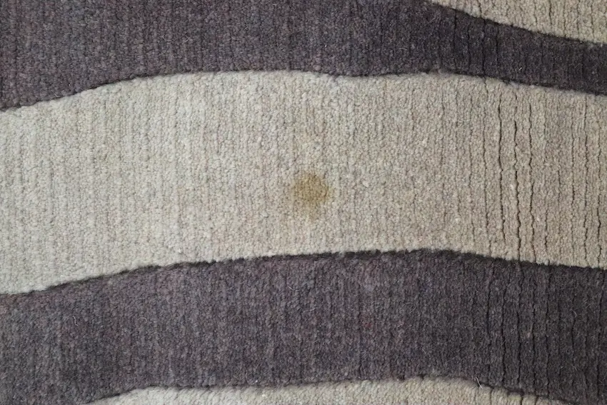 Modern Rug HTN020004 235 x163 C