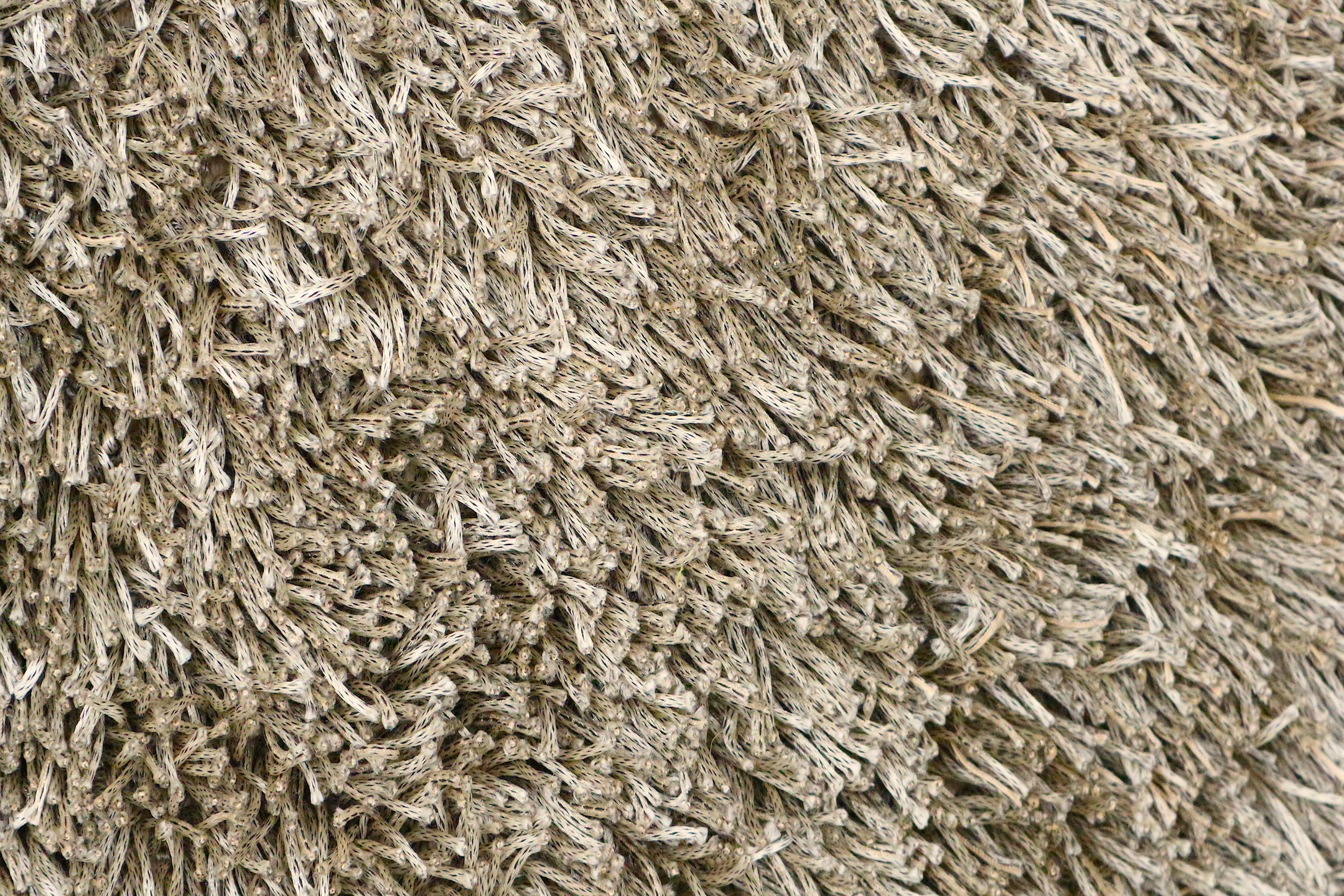 Fusion Shaggy Rug ILSD45