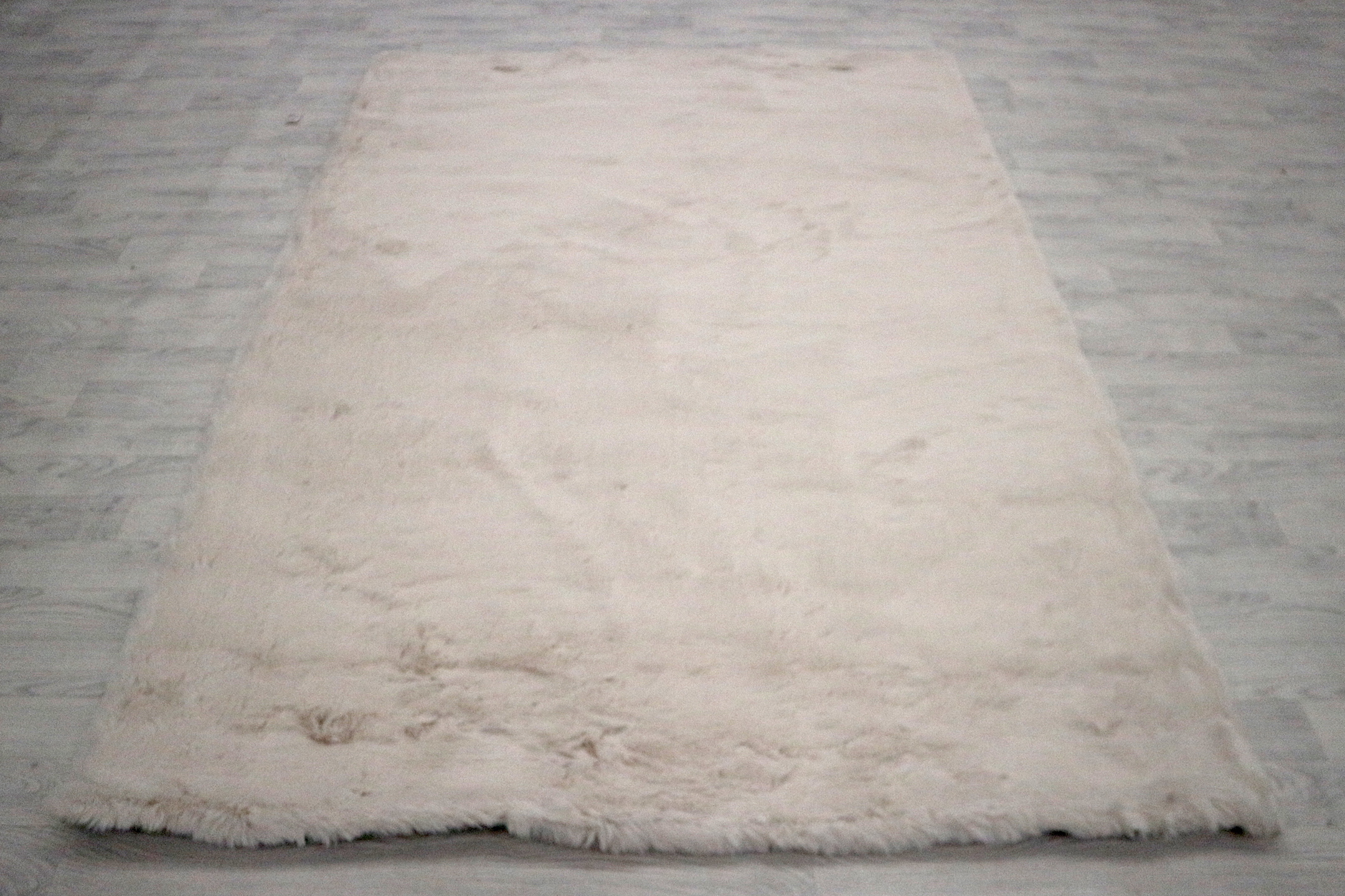 Plush Shaggy Rug NPL002
