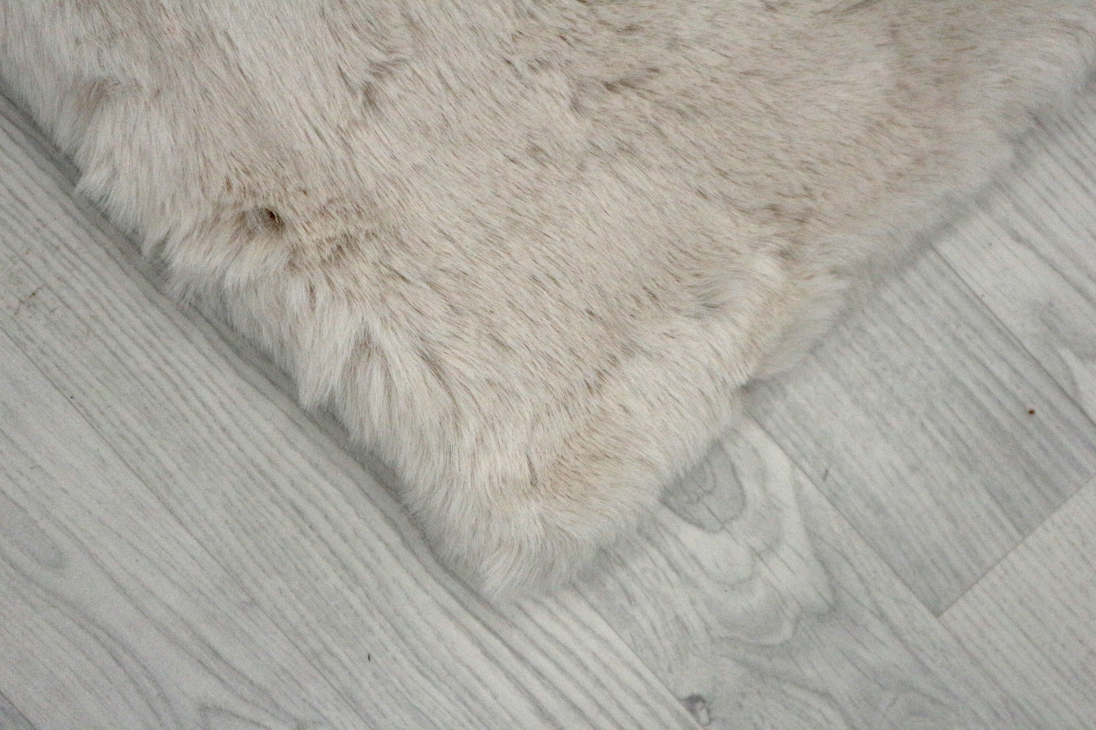 Plush Shaggy Rug NPL002
