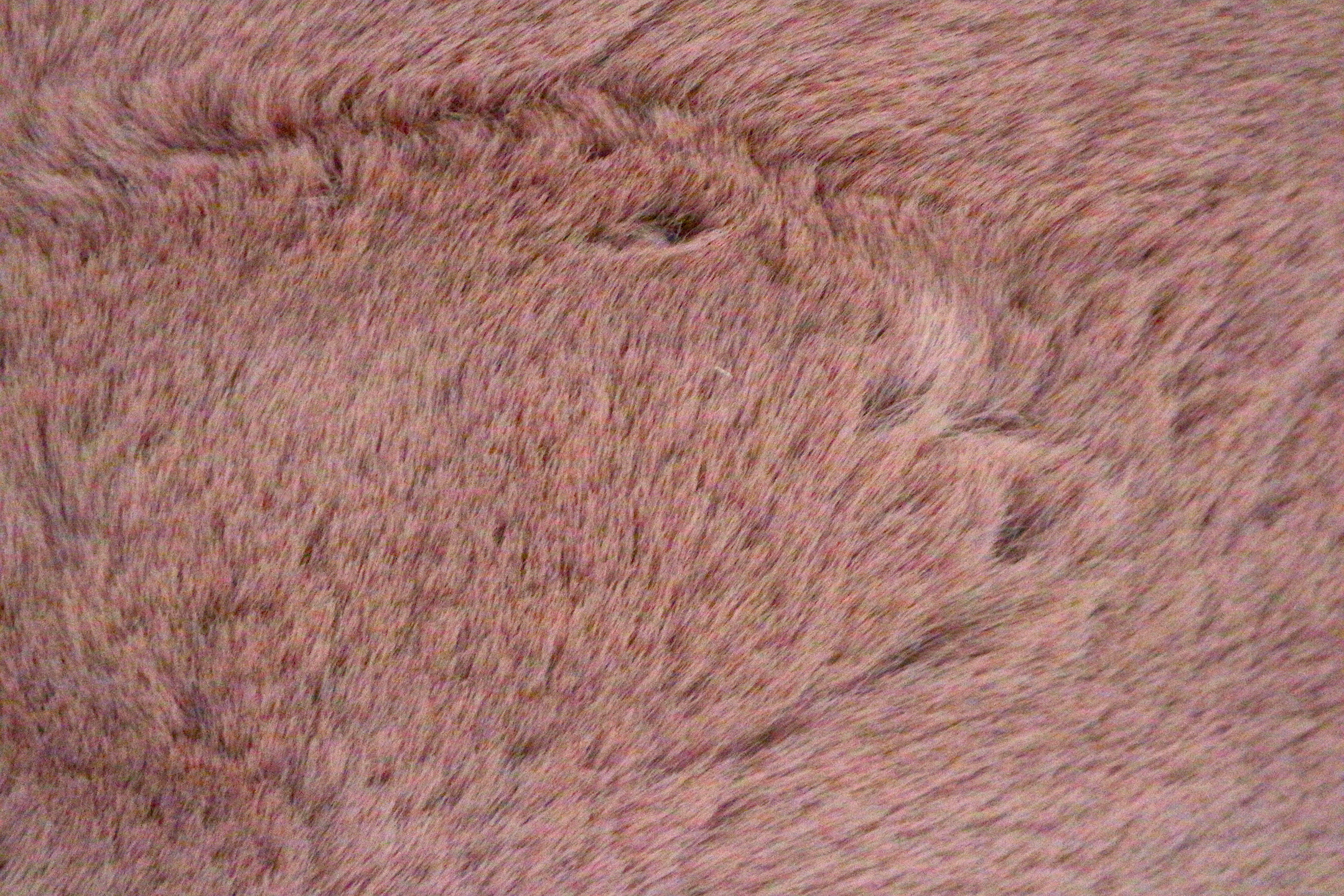 Plush Shaggy Rug NPL001