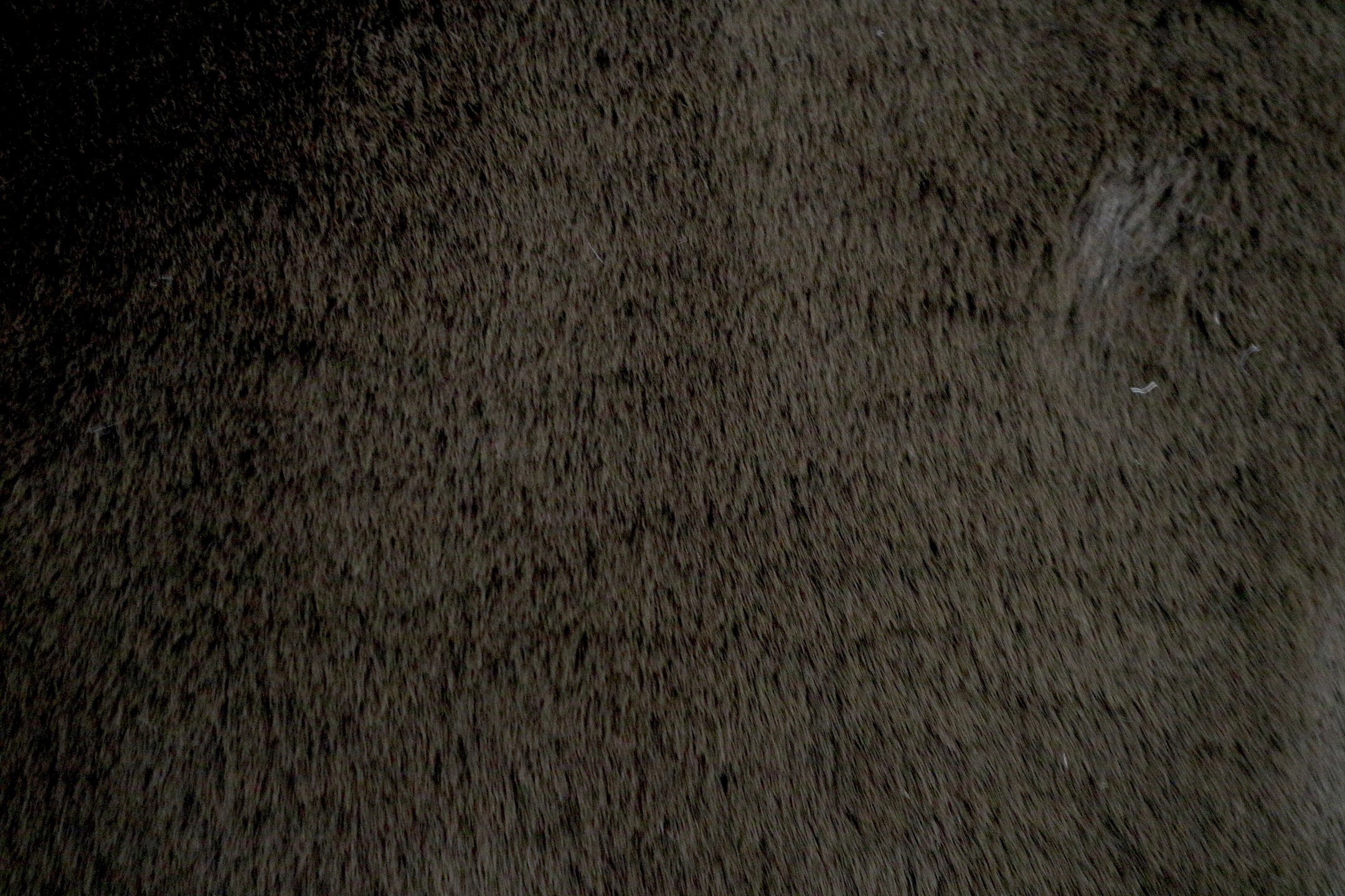 Plush Shaggy Rug NPL003