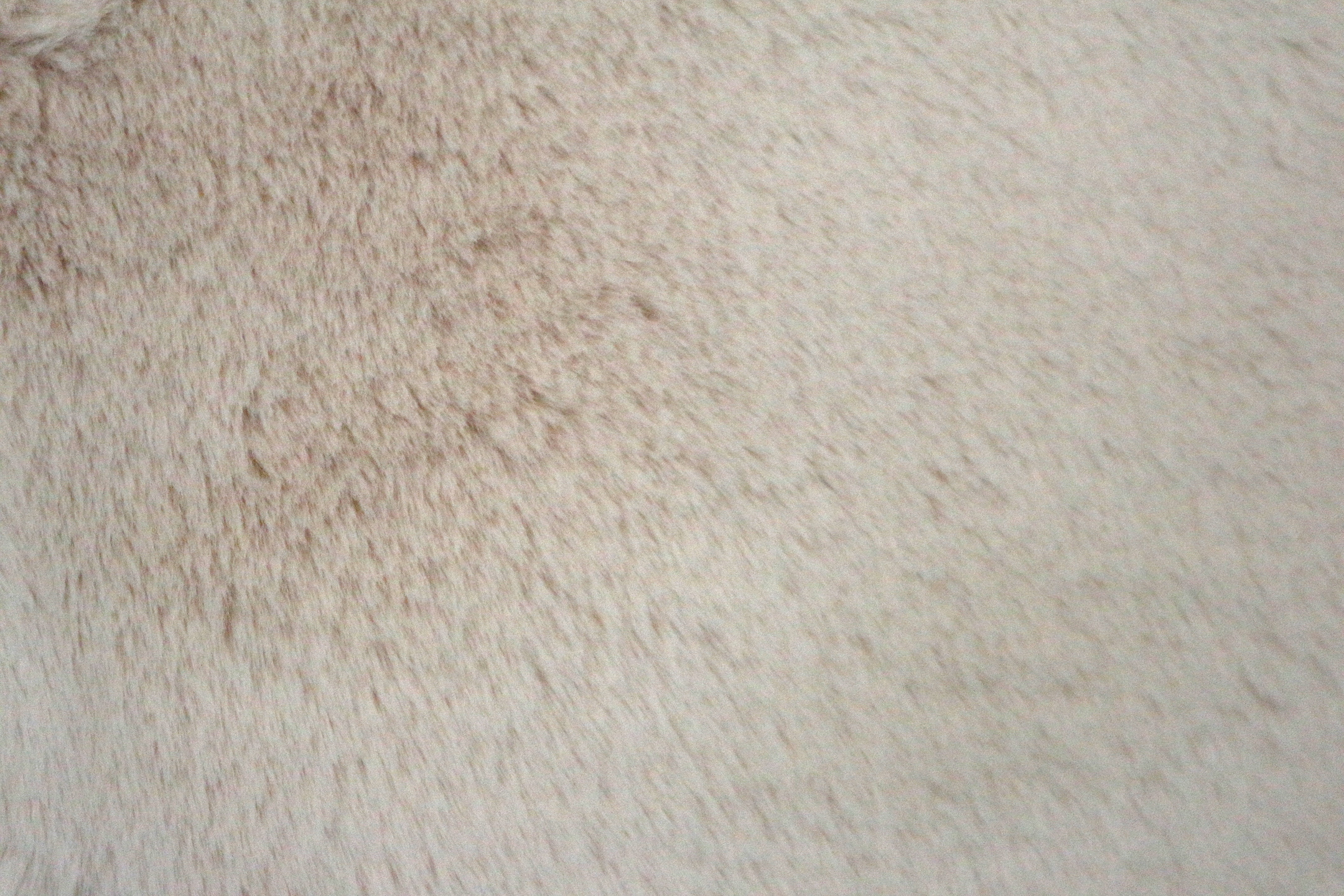 Plush Shaggy Rug NPL007