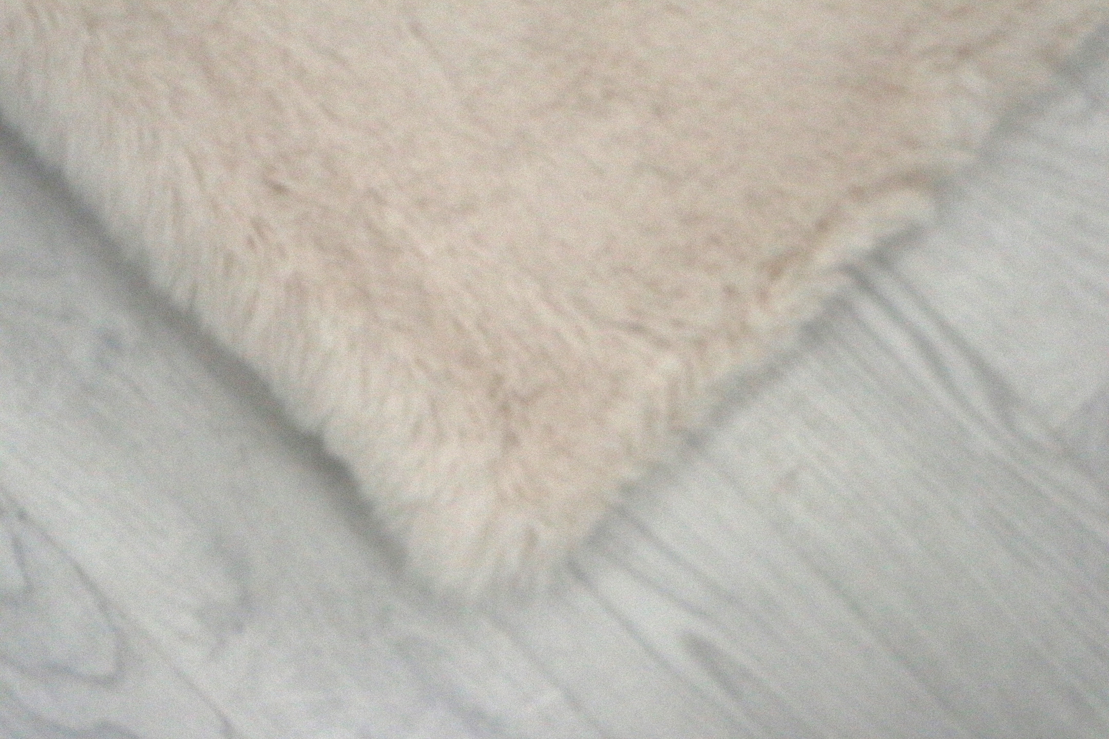 Plush Shaggy Rug NPL007