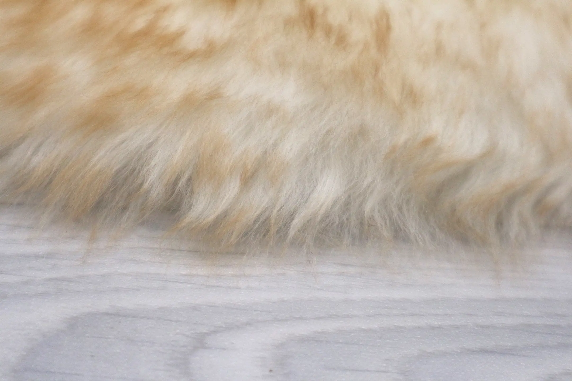 Natural Premium Sheepskin JSK- Blenhiem - 100% British Wool