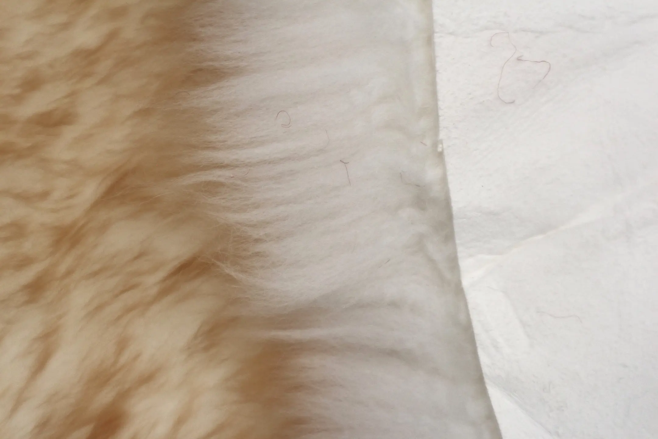Natural Premium Sheepskin JSK- Blenhiem - 100% British Wool