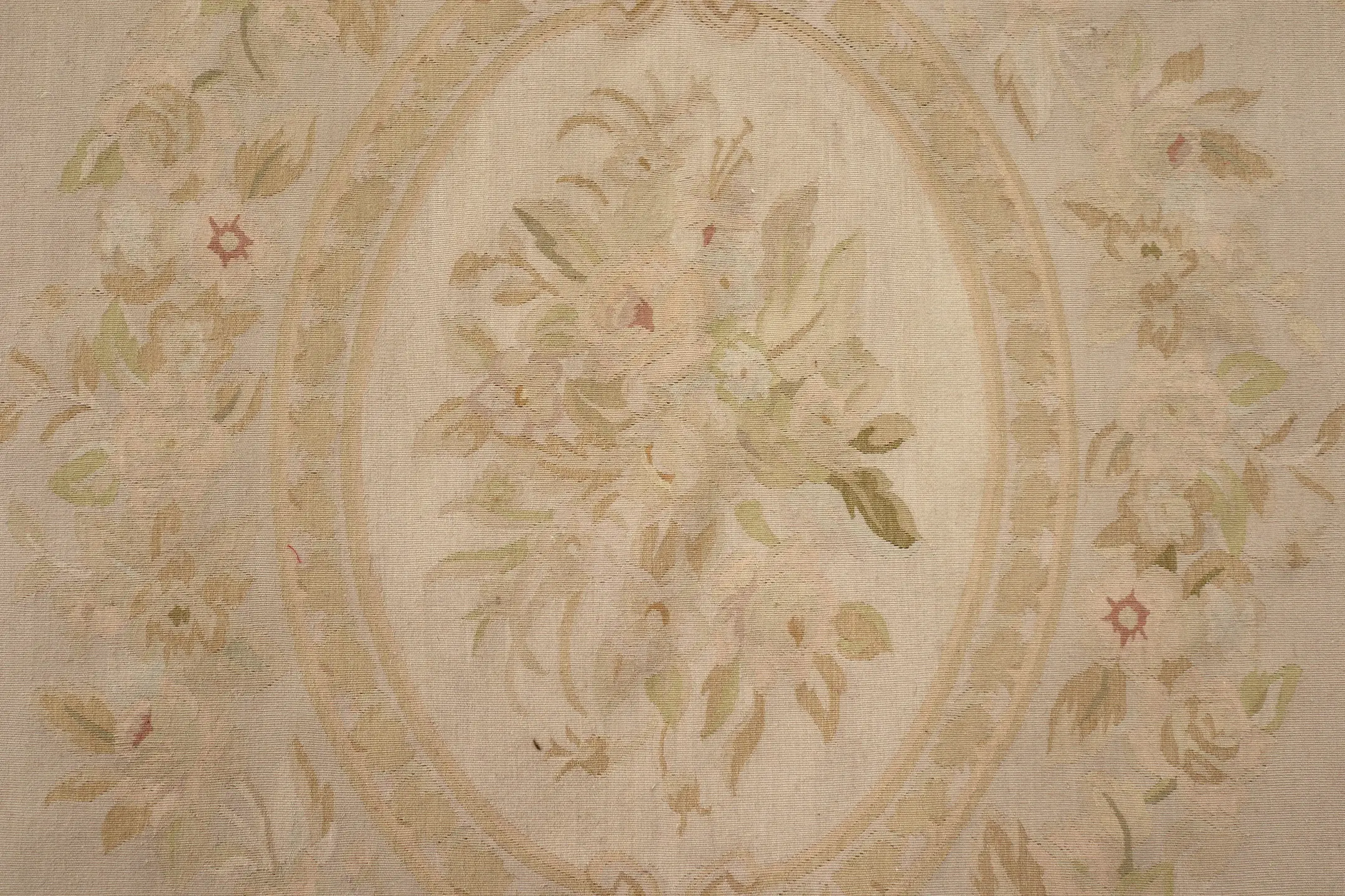 Chinese Aubusson Needlepoint Rug CAU025310 309 x 244