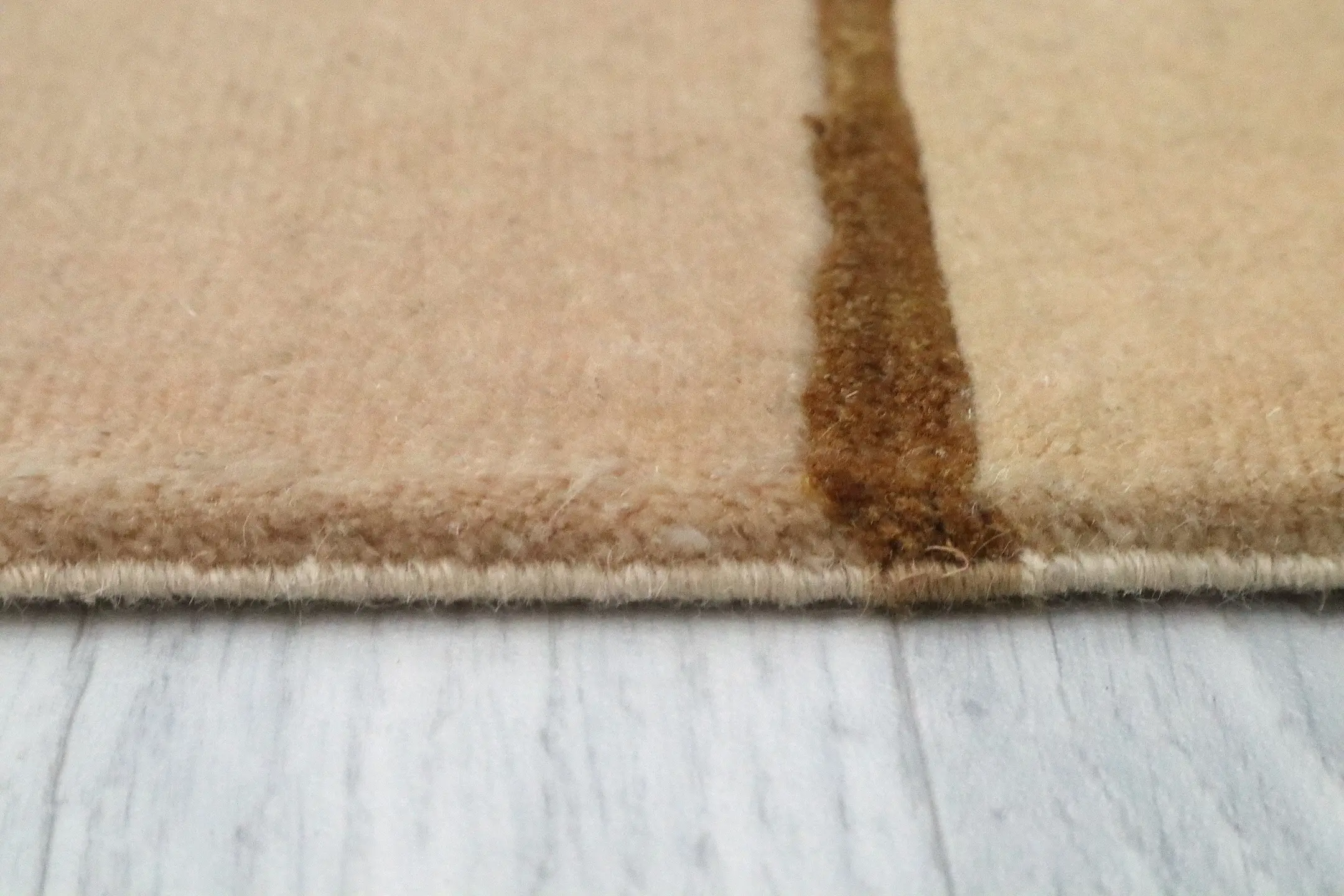 Modern Tibetan Rug Fine Line CTN025S13 N 303 x 236