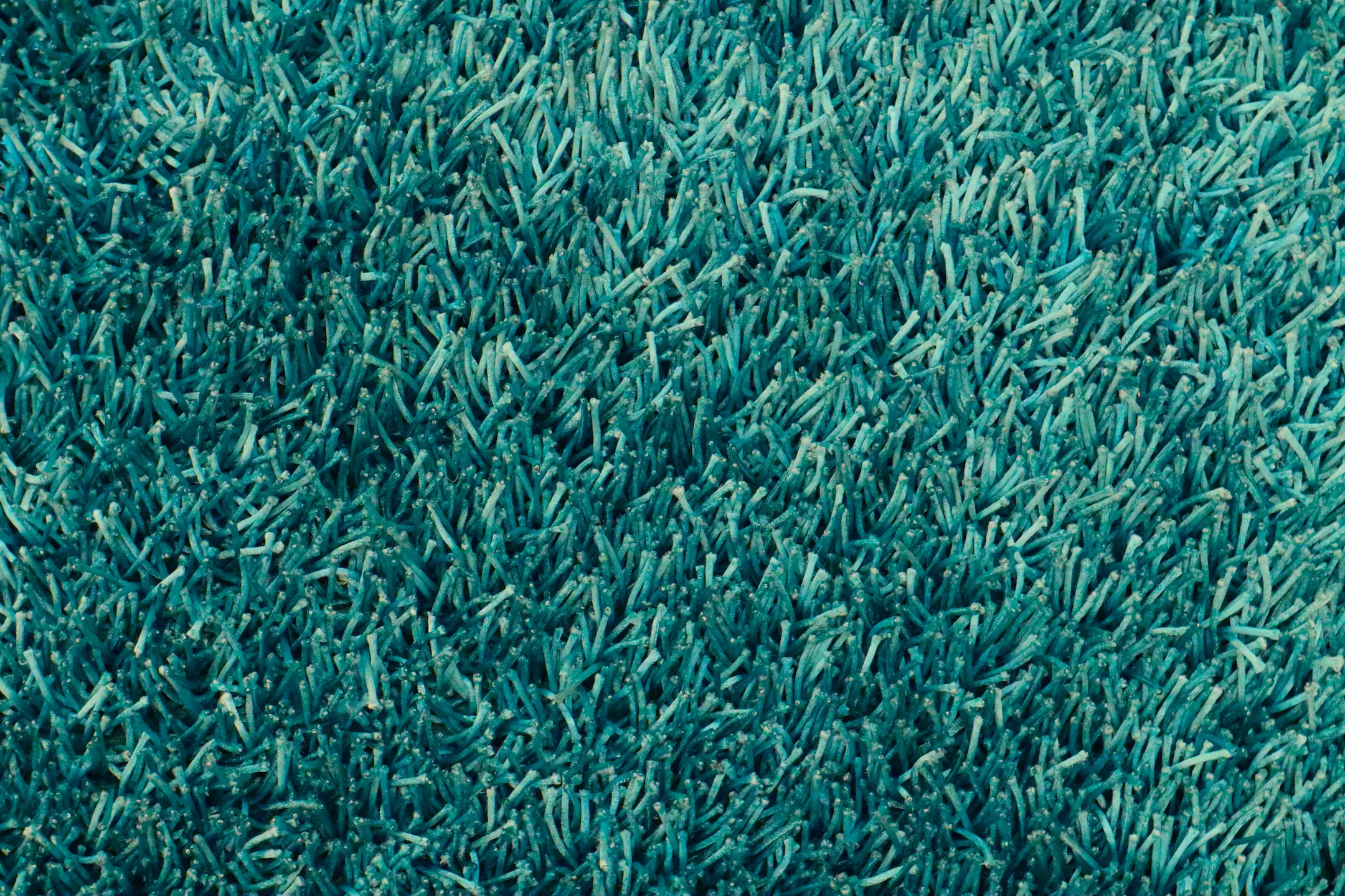 Shaggy Mix Petrol Blue Ilp013035 152cm x 91cm
