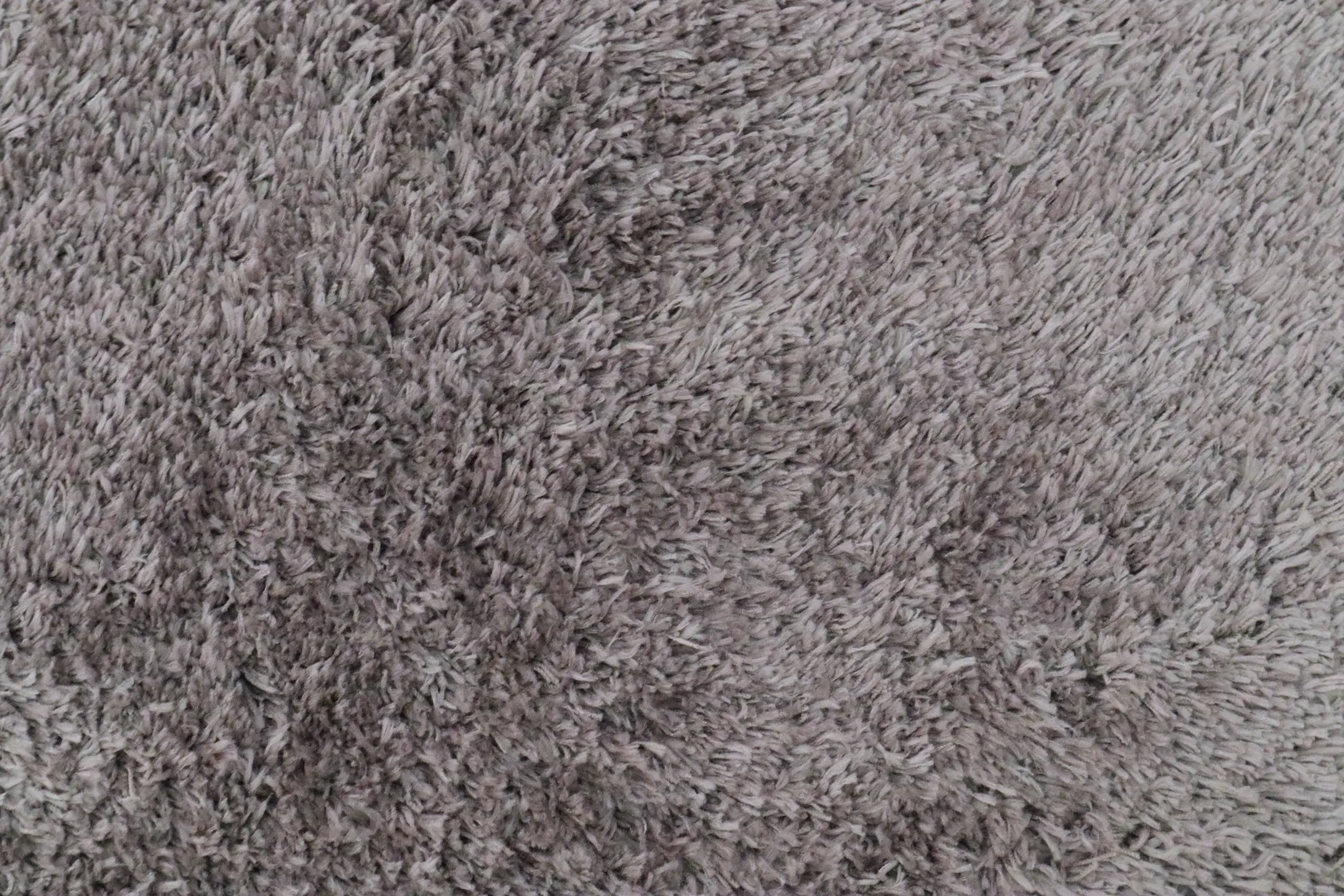 Shaggy Rug Dark Grey Zlp020Che 230cm x 160cm