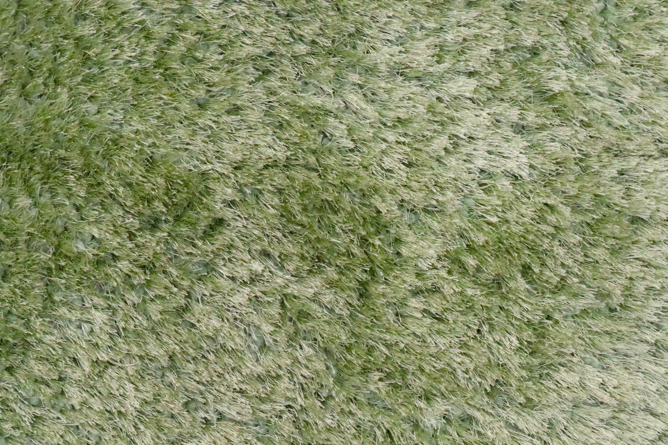 Polyester Shaggy Rug Green D Cls023706 290cm x 200cm