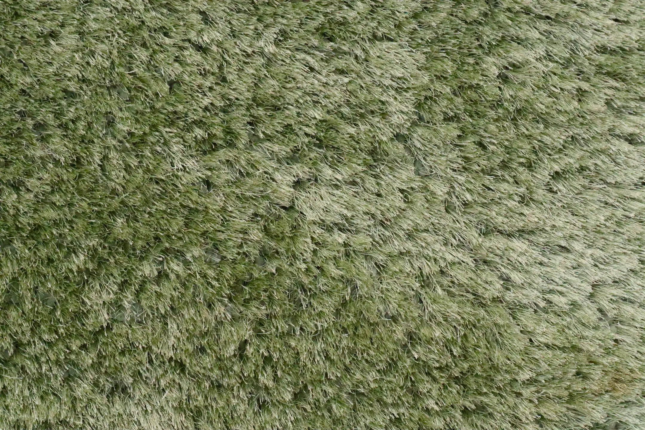 Polyester Shaggy Rug Green D Cls027706 340cm x 240cm