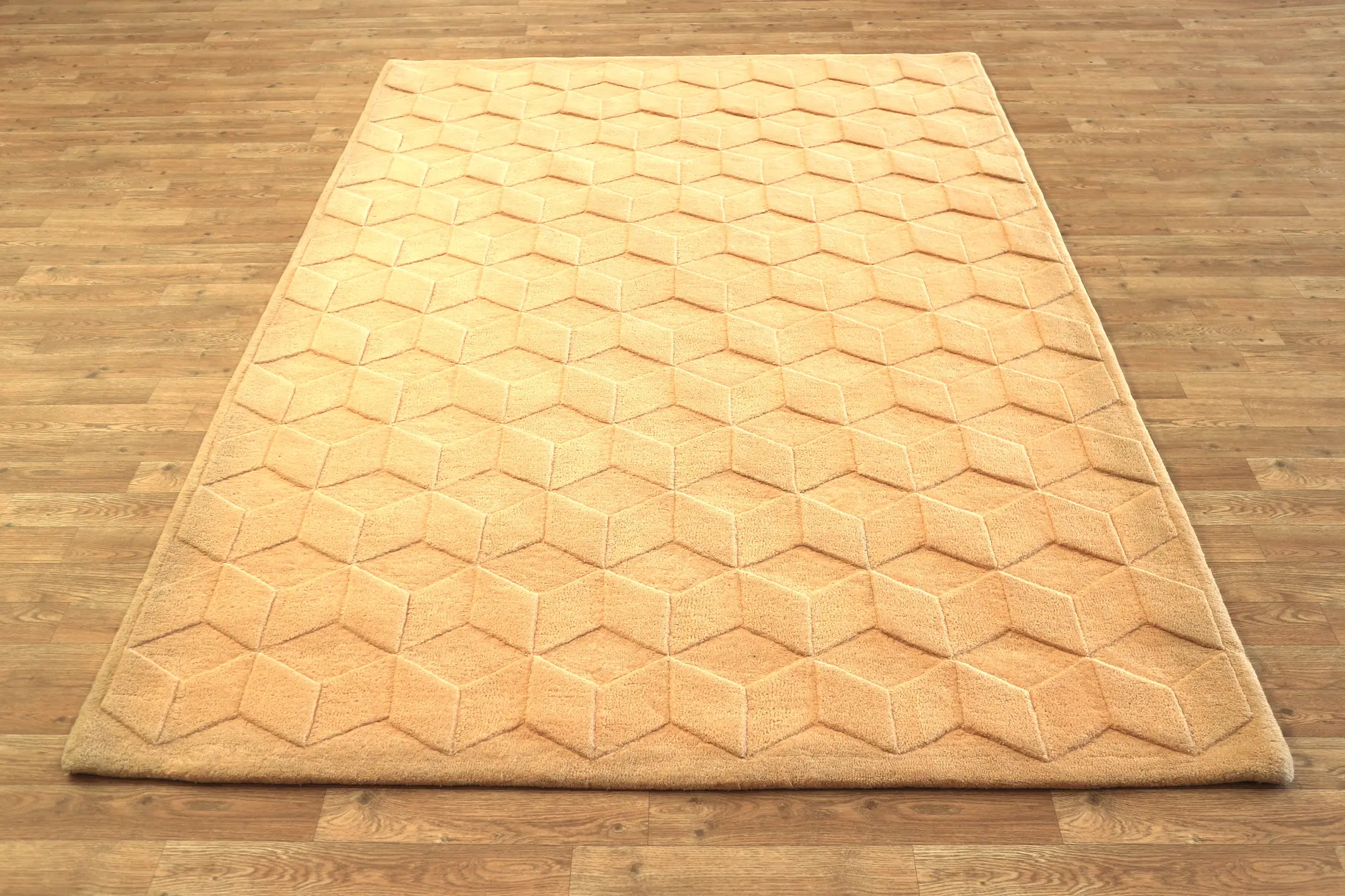 Modern Rug DFS020000 239 x172 H