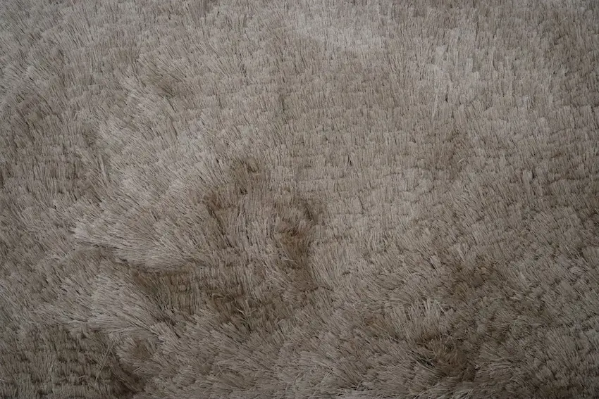 Shaggy Rug ILS018000 183 x 122 C