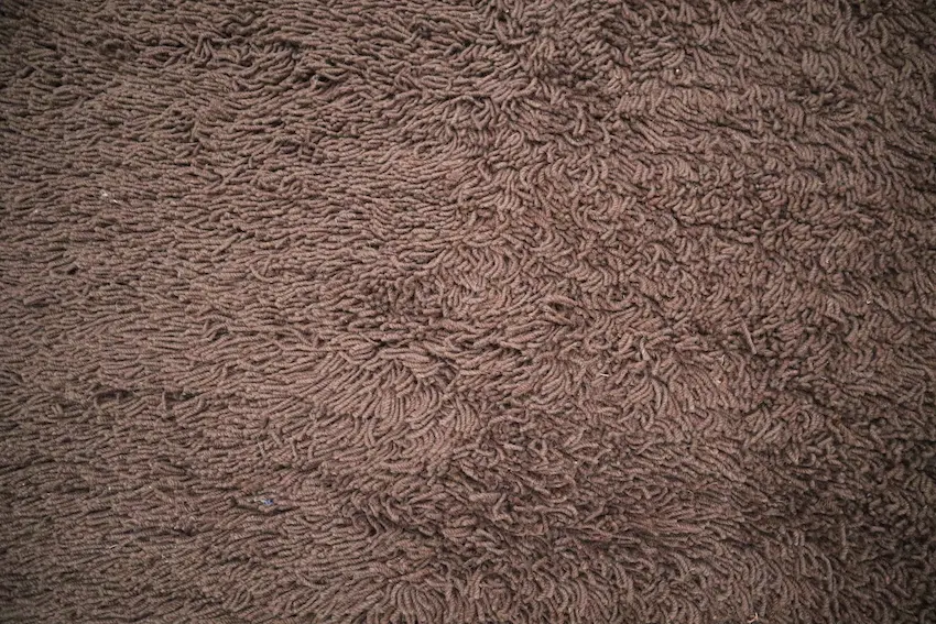 Shaggy Rug ILP018CHE 183 x 122 F