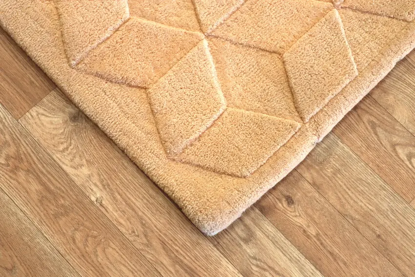 Modern Rug DFS020000 239 x172 H