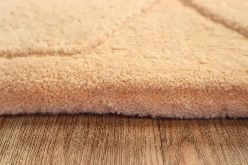 Modern Rug DFS020000 239 x172 H